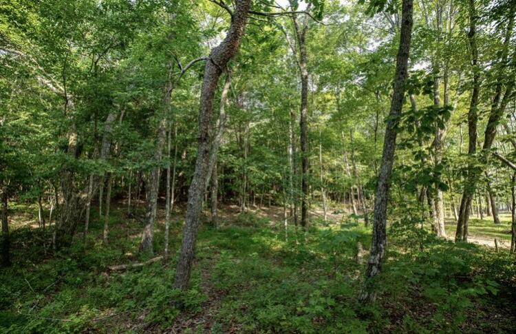 595 Compass Drive, Rb-104