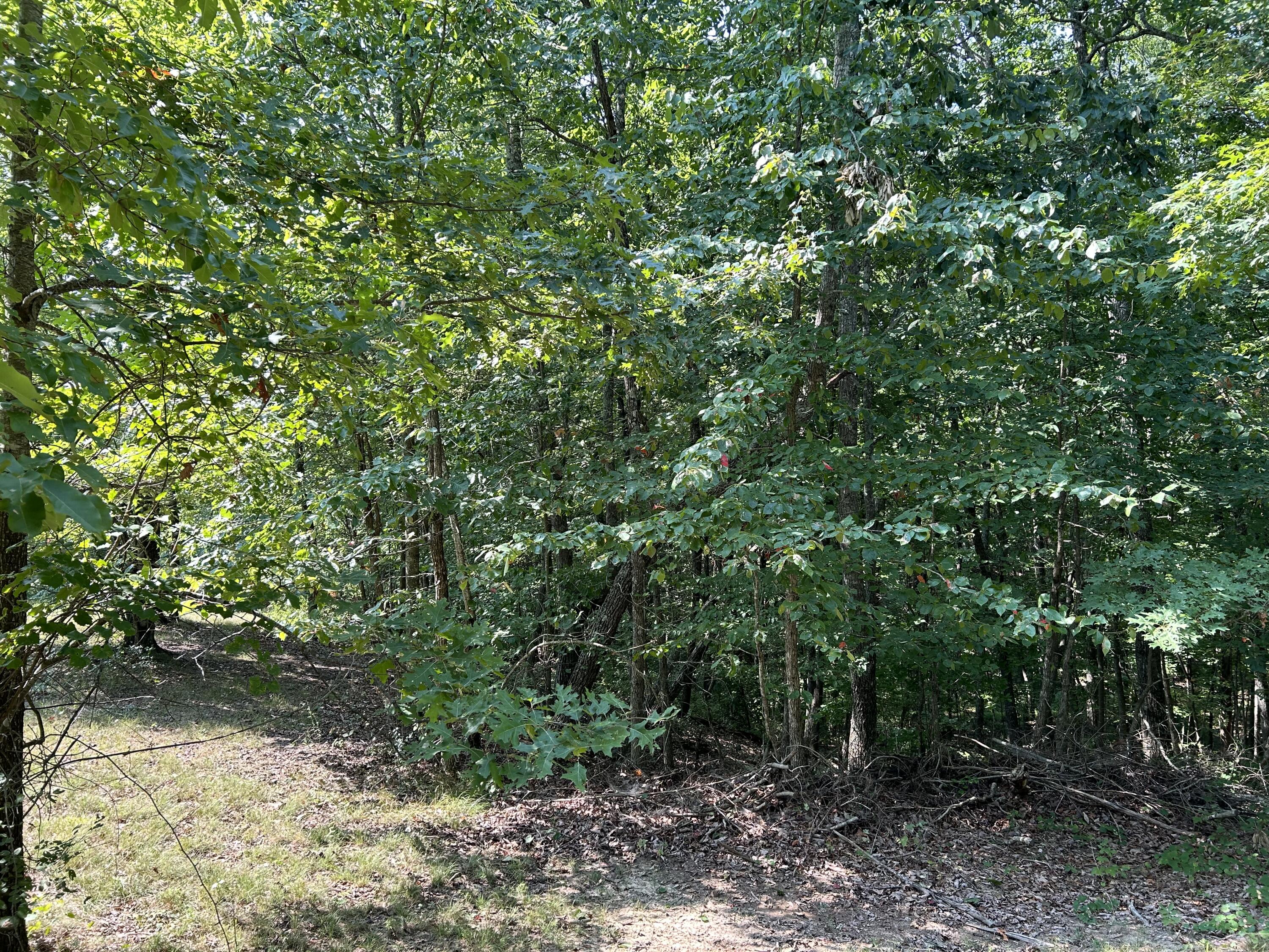 245 Lookout View Drive, Rb-218