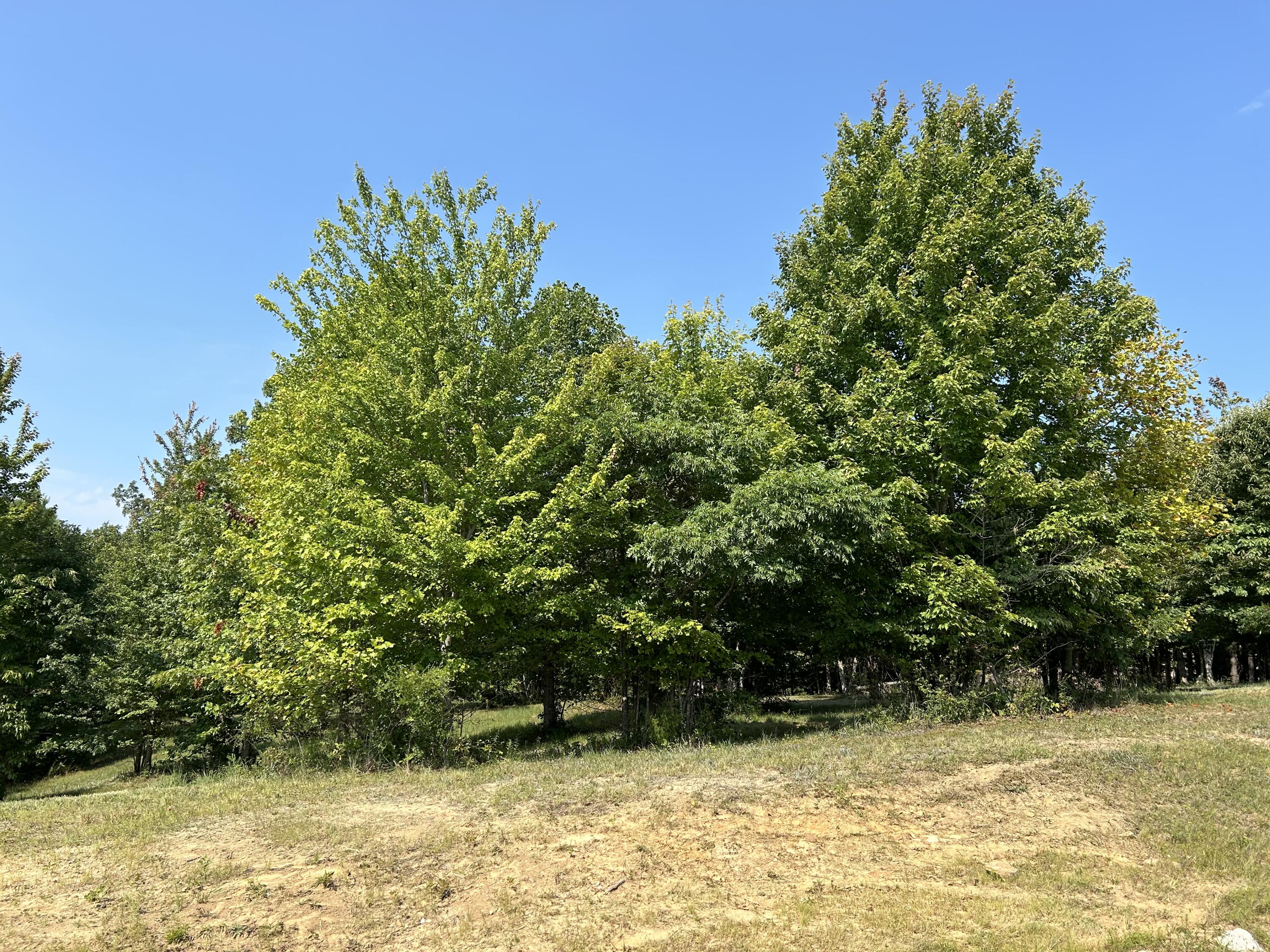 245 Lookout View Drive, Rb-218