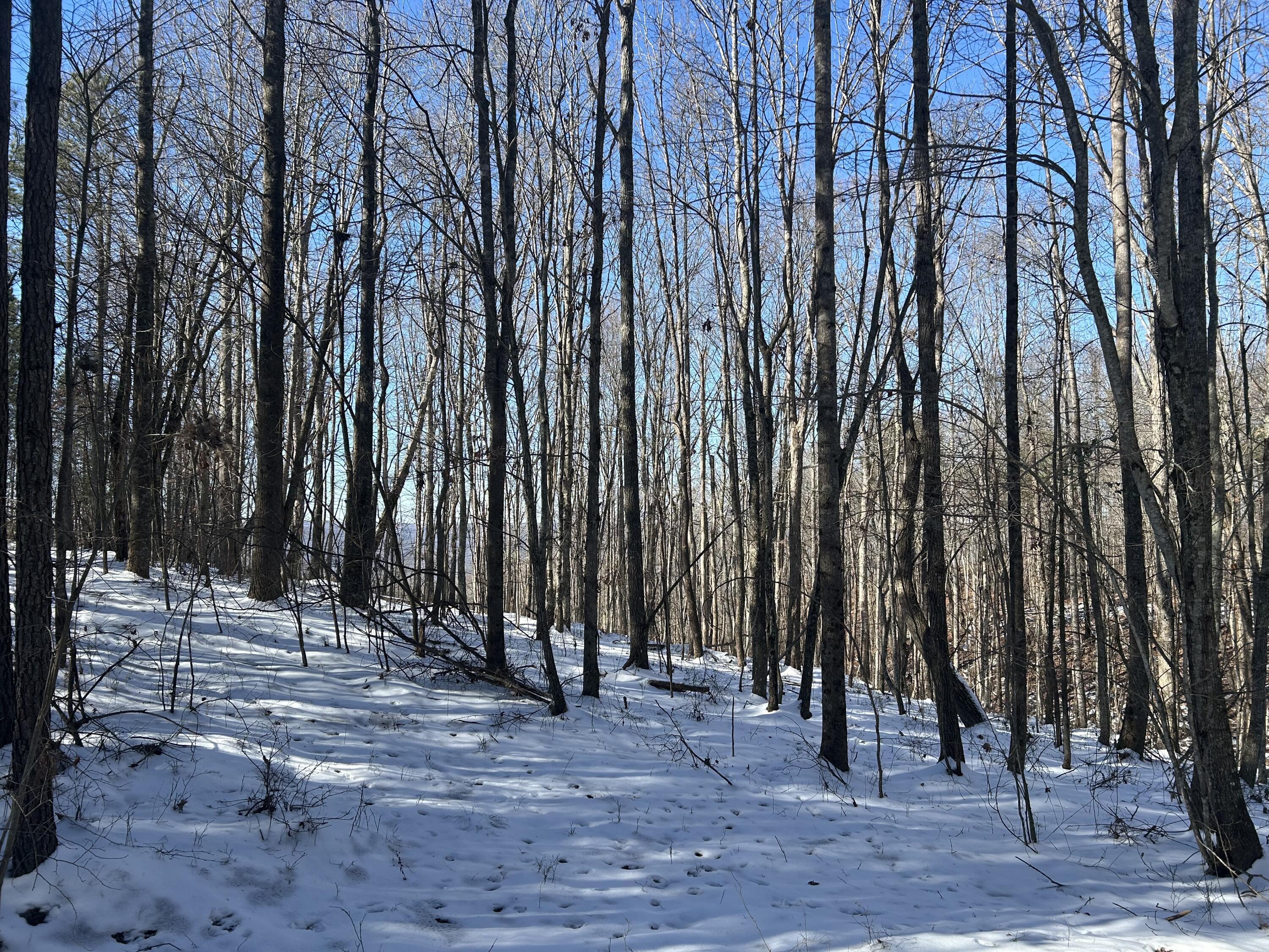 320 Waterwheel Way, Jf-338