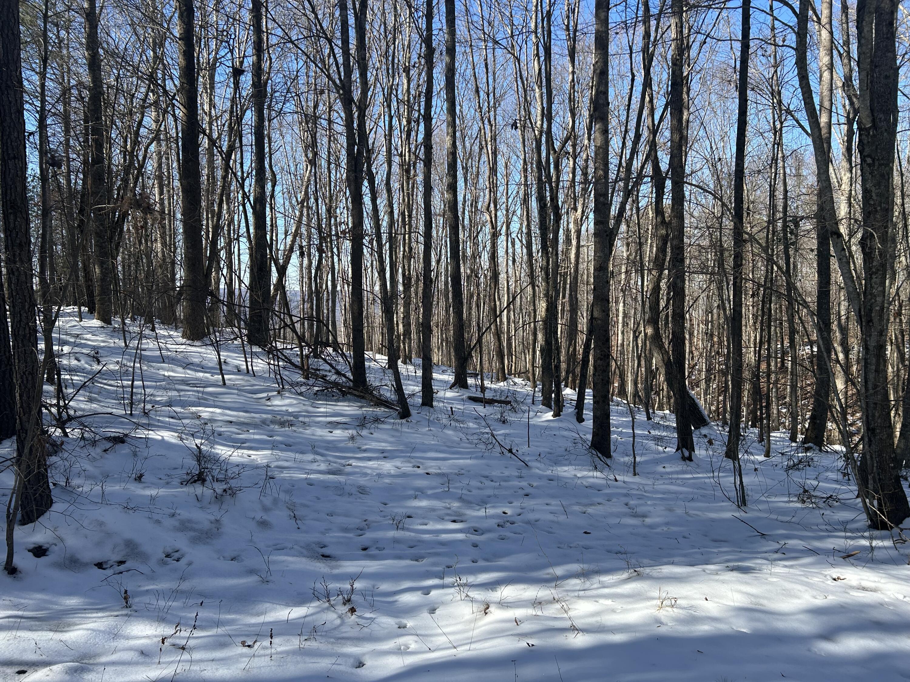 320 Waterwheel Way, Jf-338