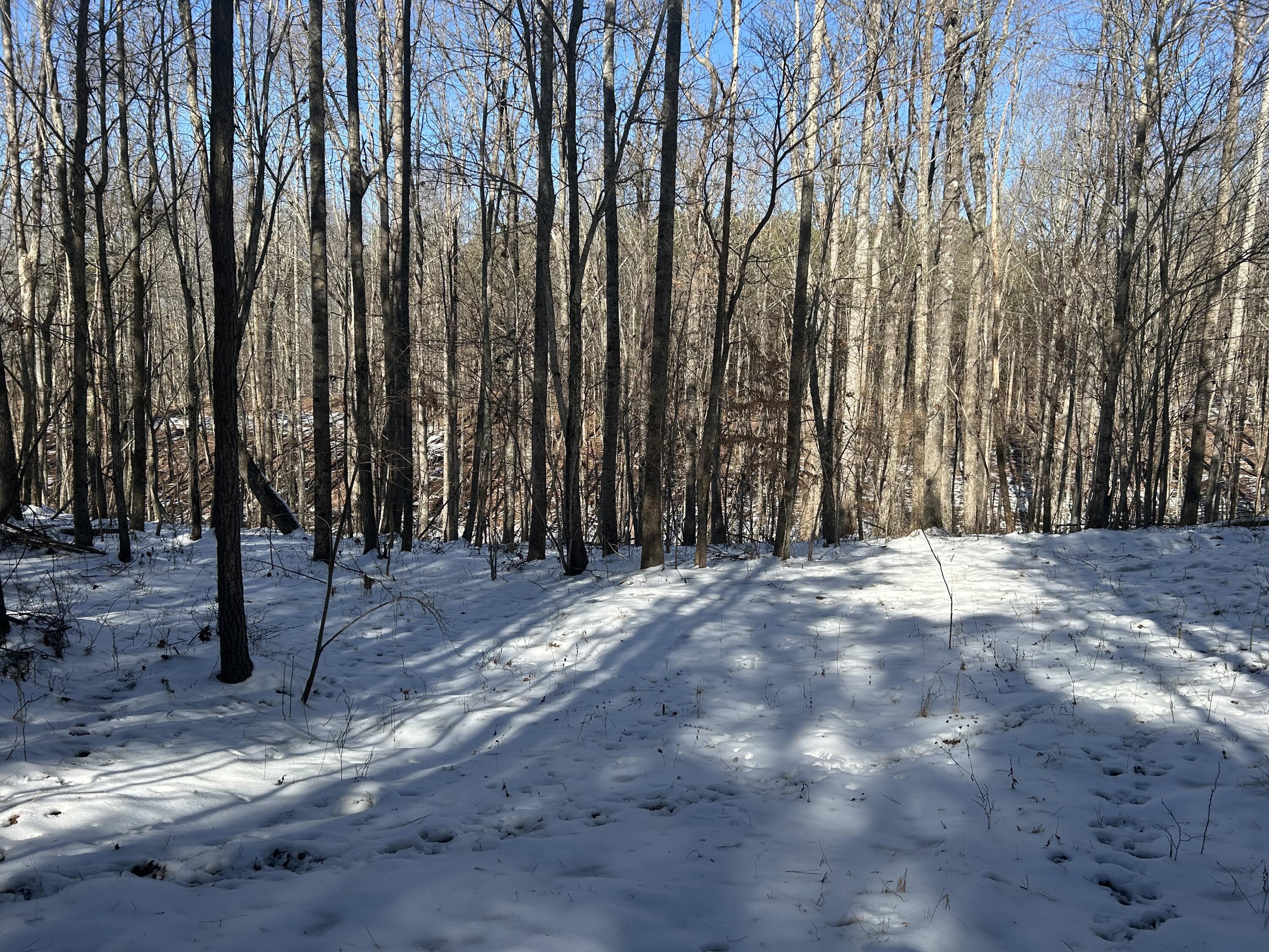 320 Waterwheel Way, Jf-338