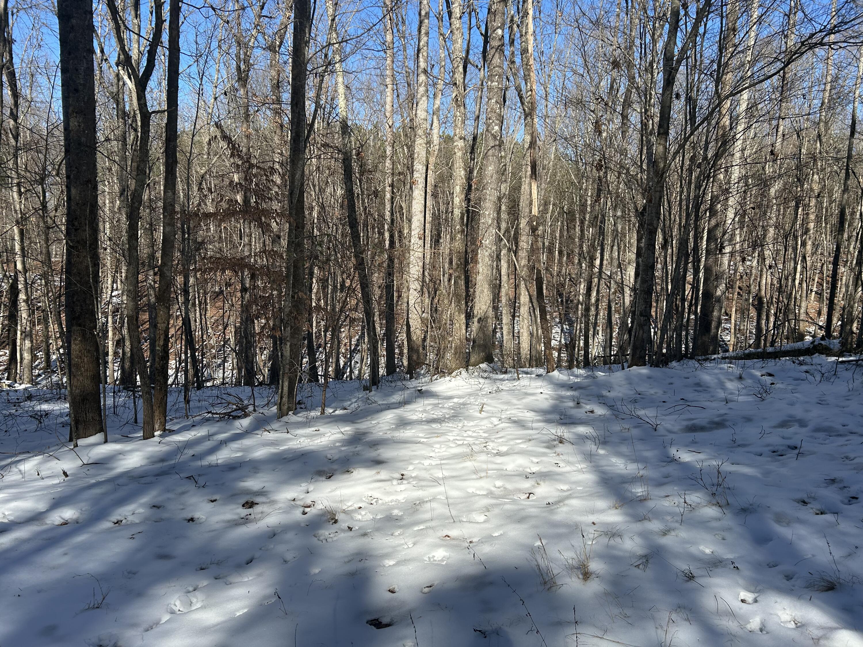 320 Waterwheel Way, Jf-338