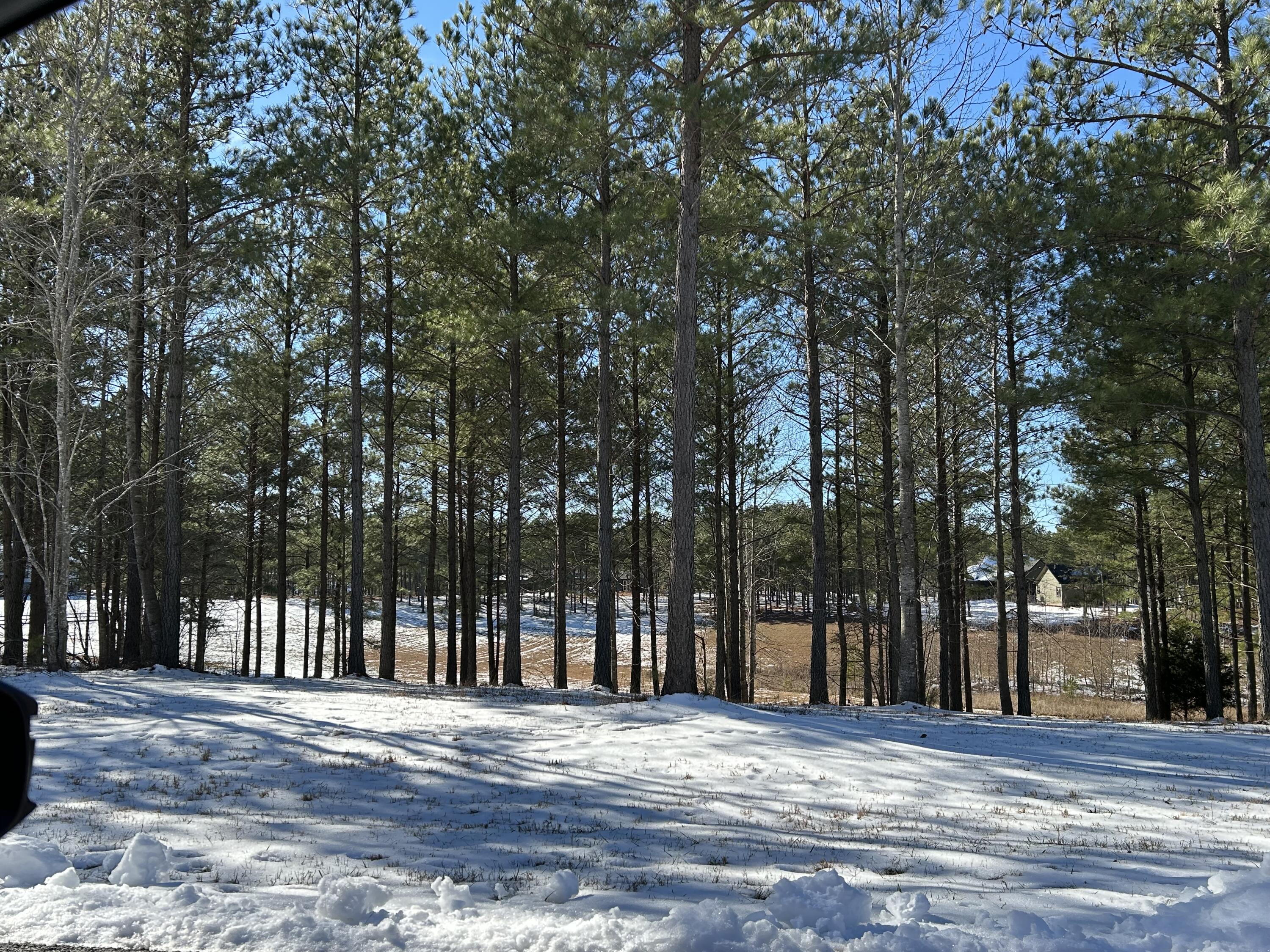 203 Pappy Road, Sv-204