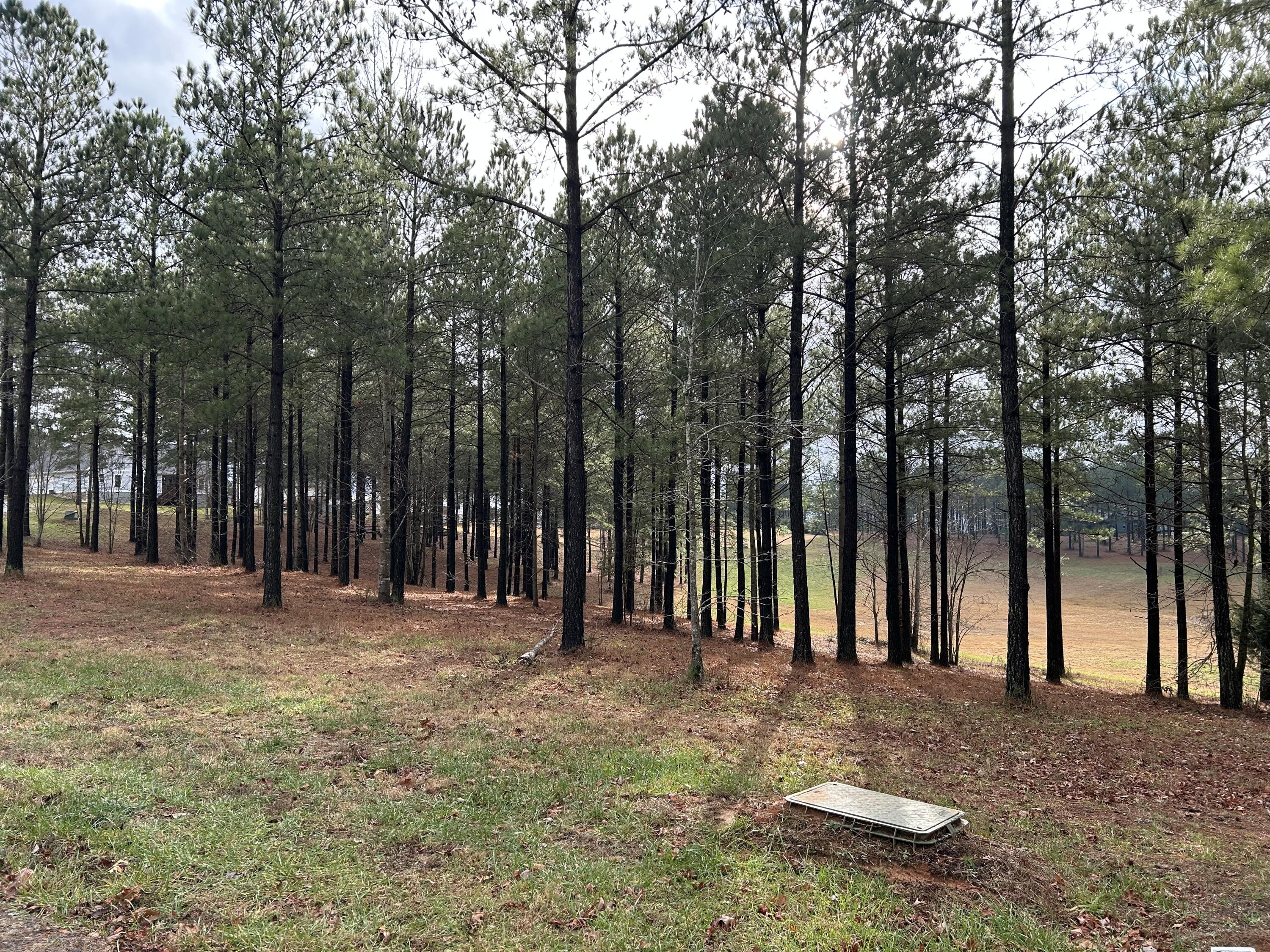 203 Pappy Road, Sv-204
