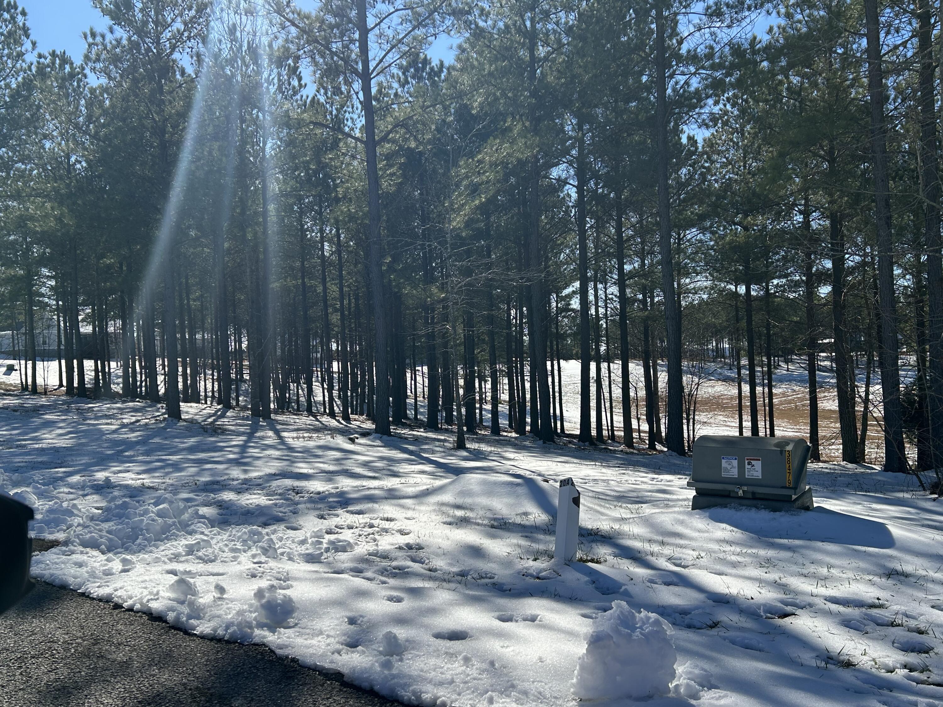 203 Pappy Road, Sv-204