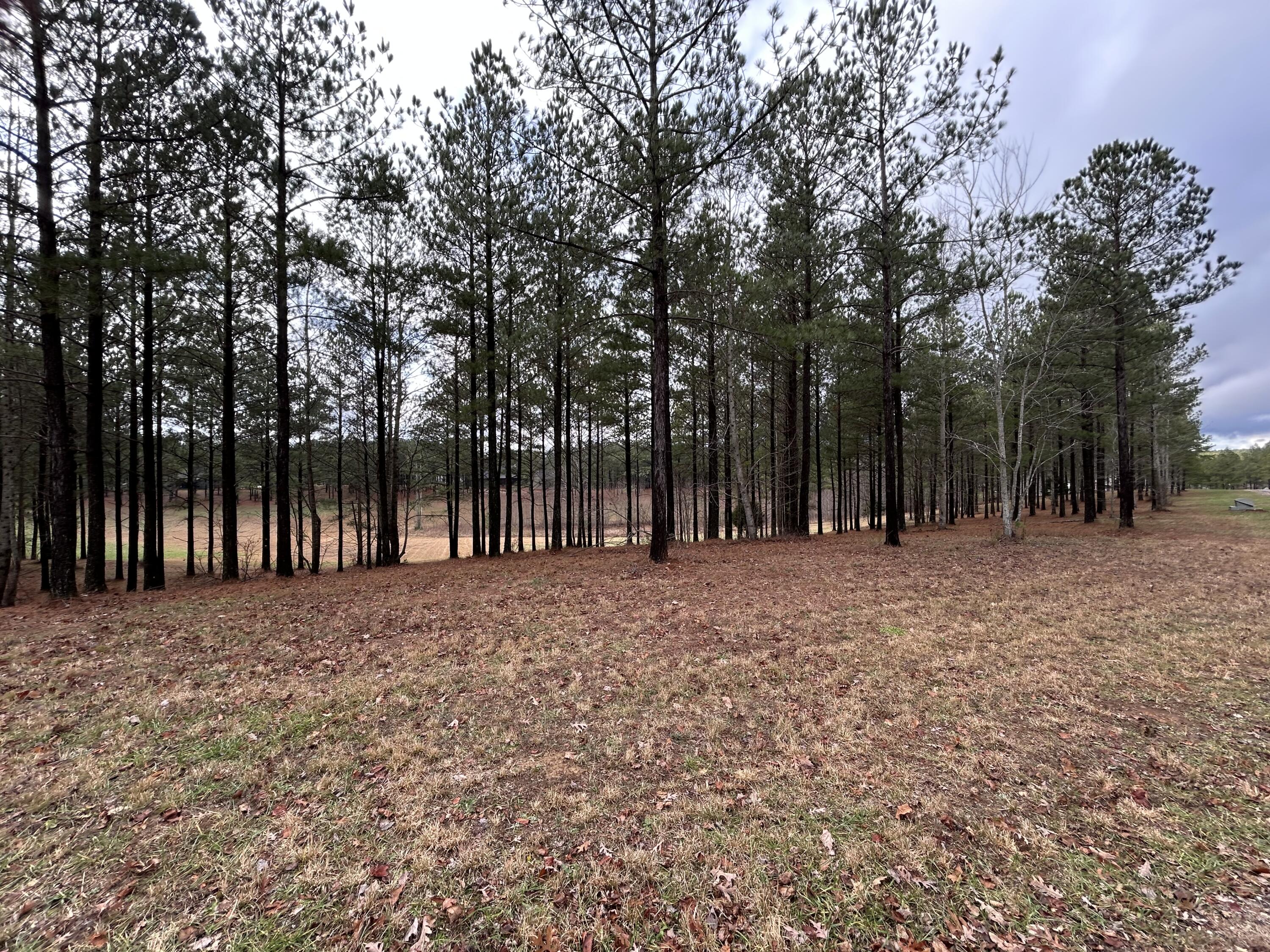 203 Pappy Road, Sv-204