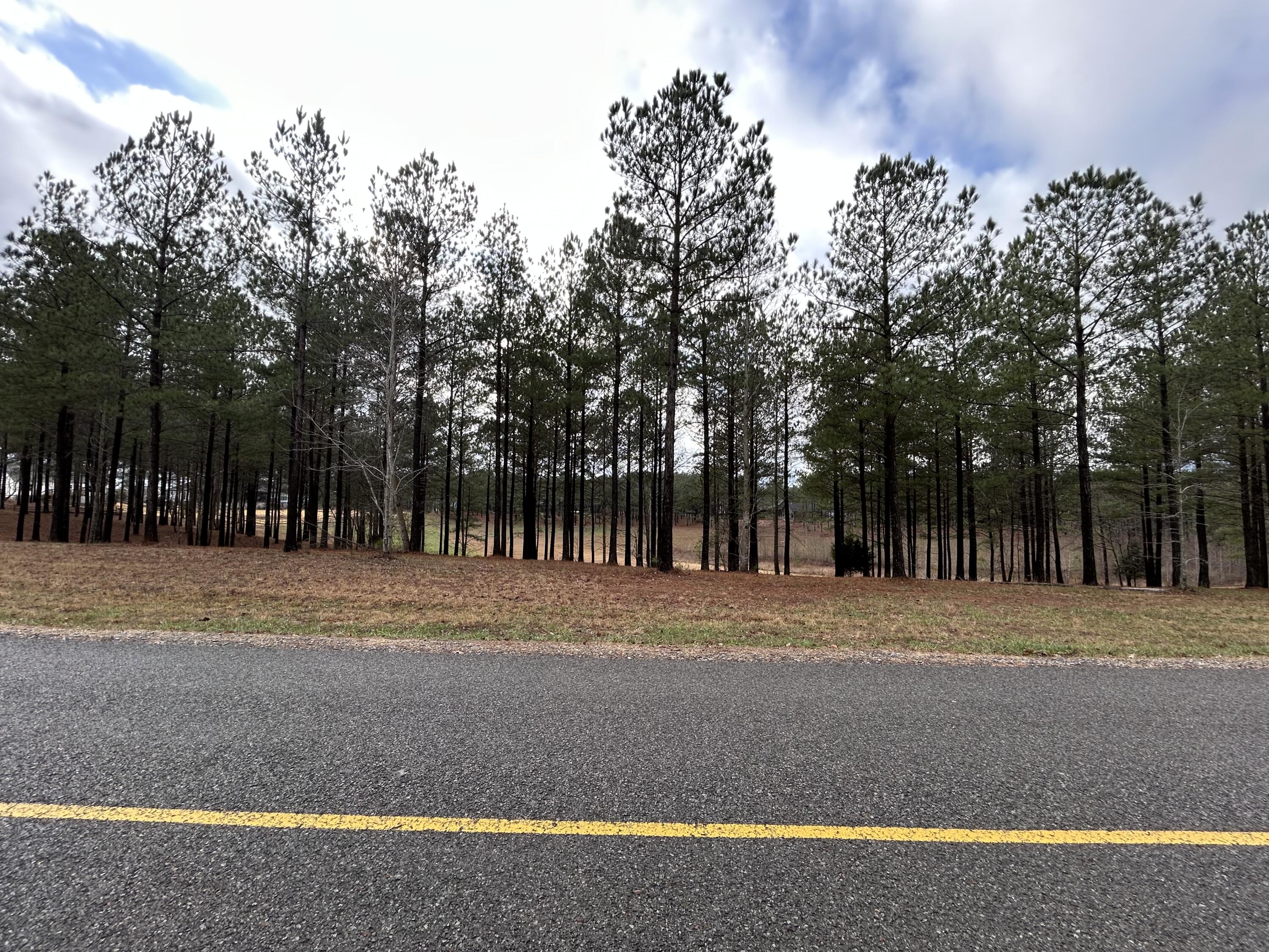 203 Pappy Road, Sv-204