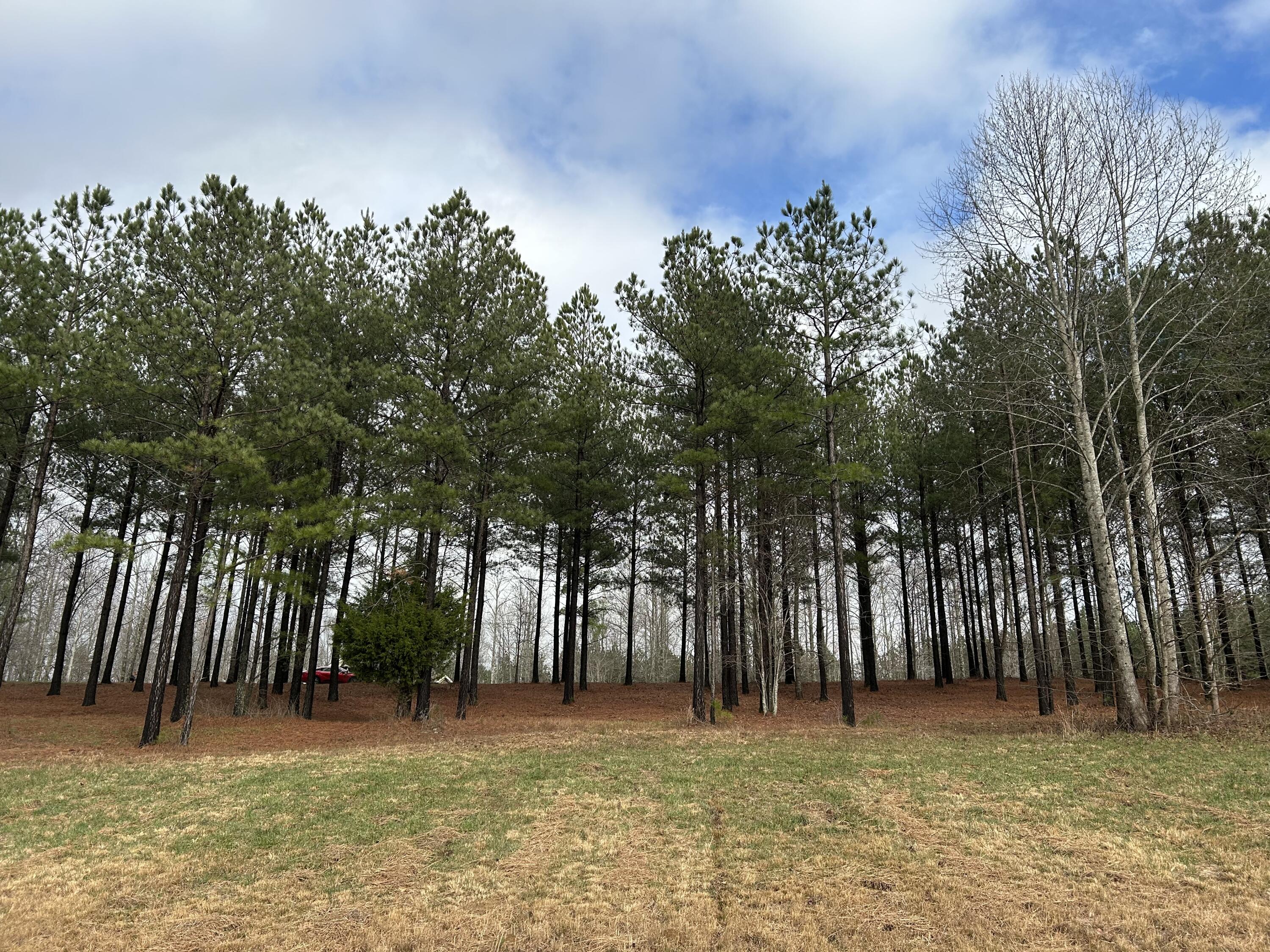 203 Pappy Road, Sv-204