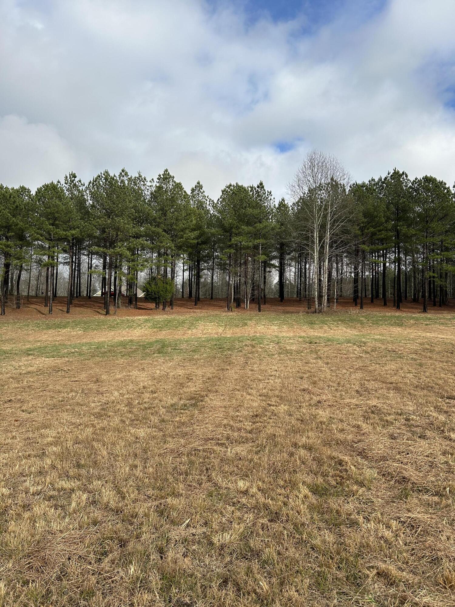 203 Pappy Road, Sv-204