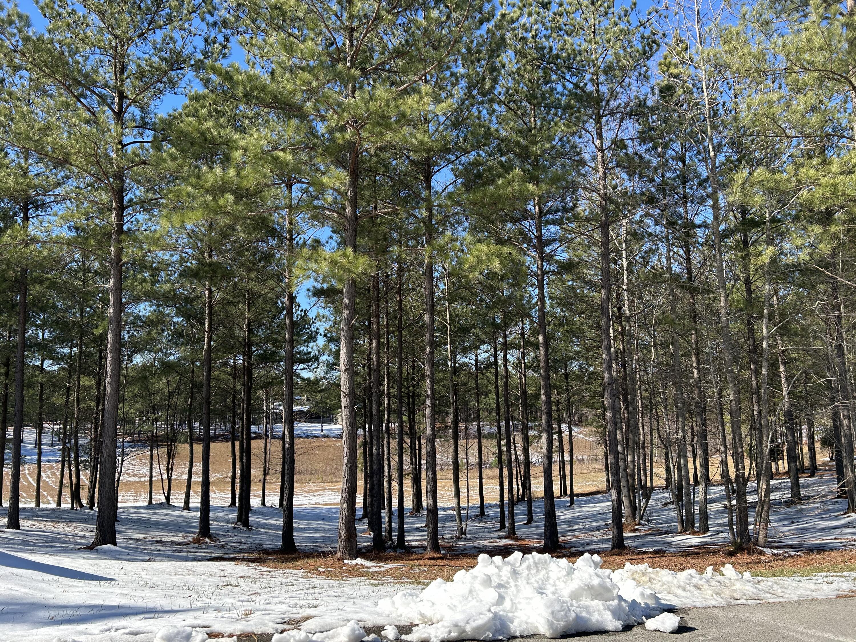 203 Pappy Road, Sv-204