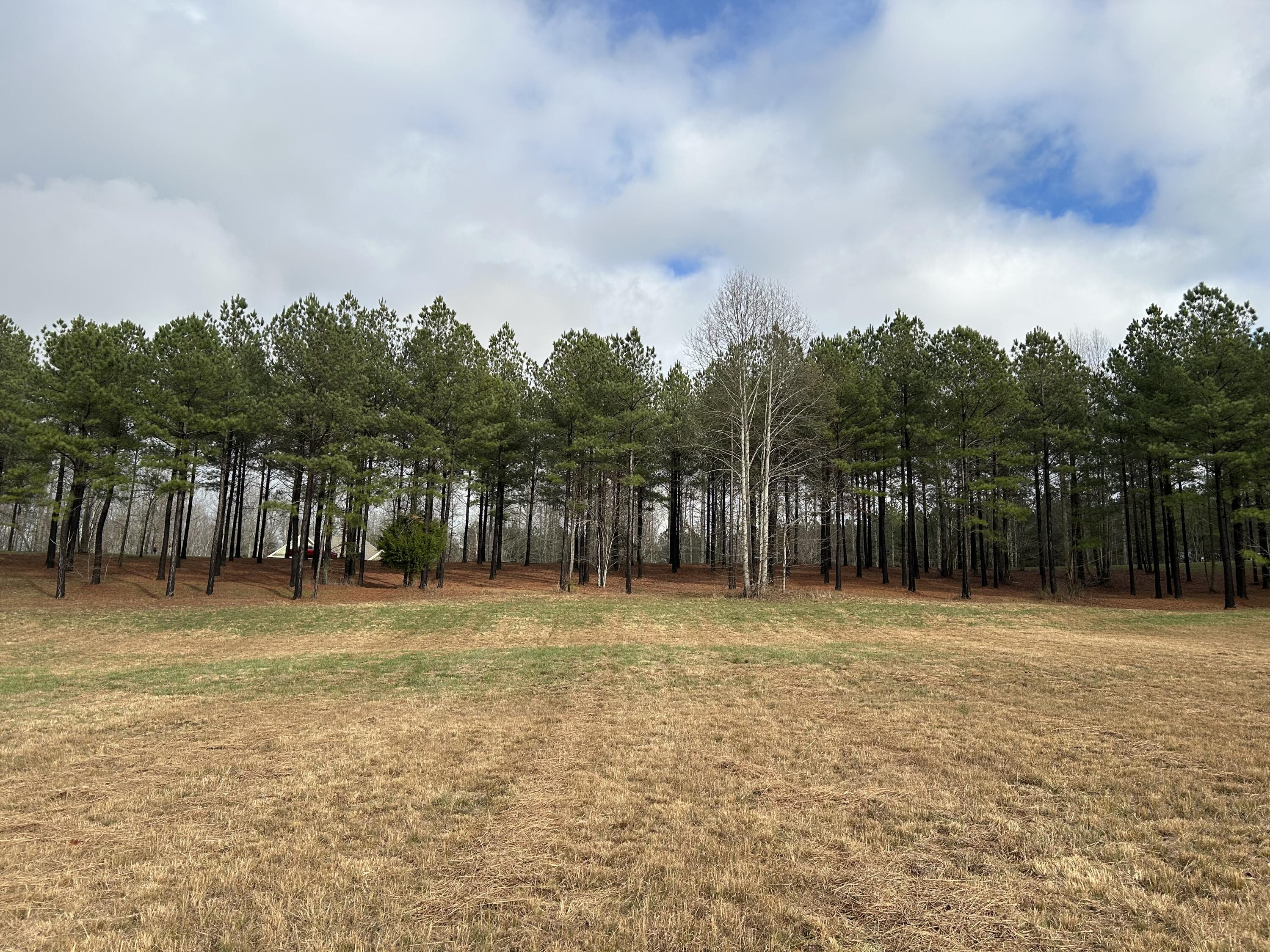 203 Pappy Road, Sv-204
