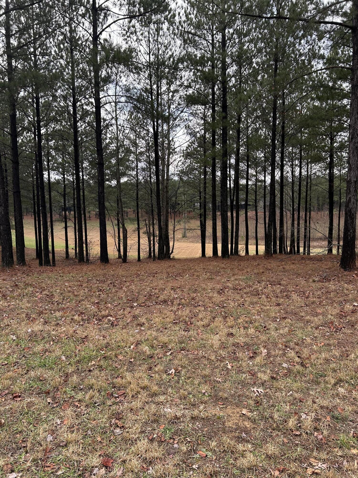 203 Pappy Road, Sv-204