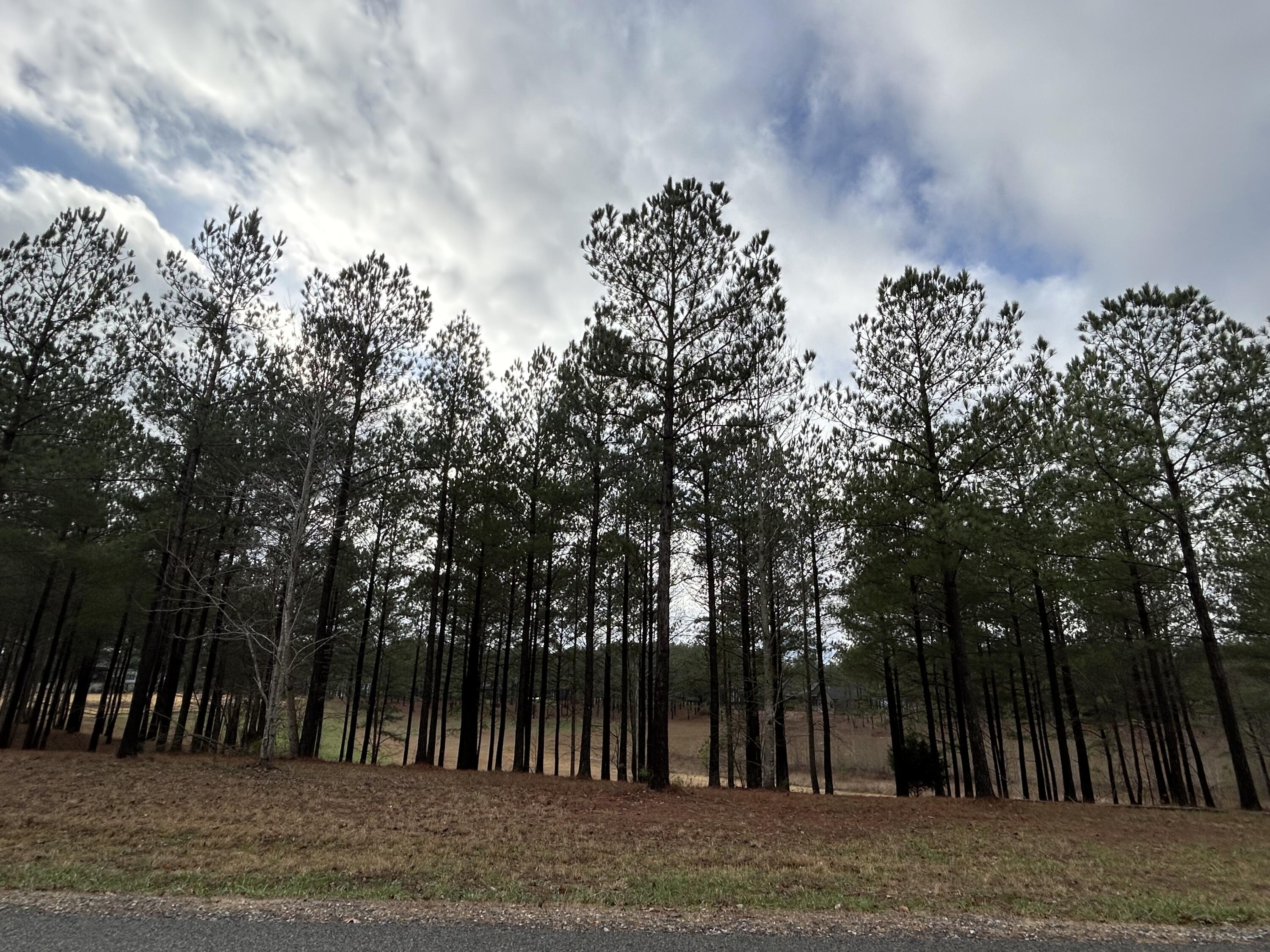 203 Pappy Road, Sv-204