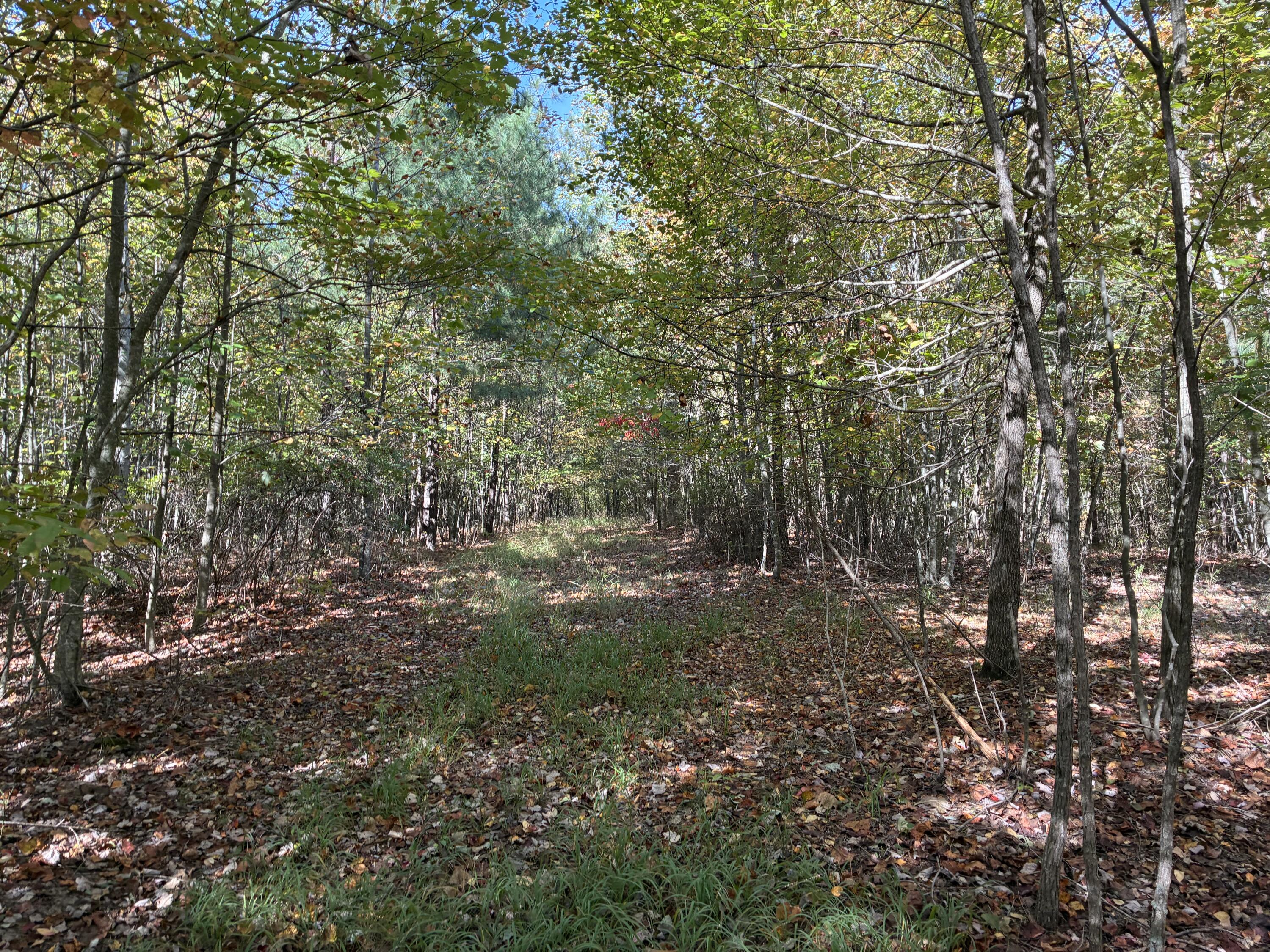 280 Volunteer Street, Jf-370