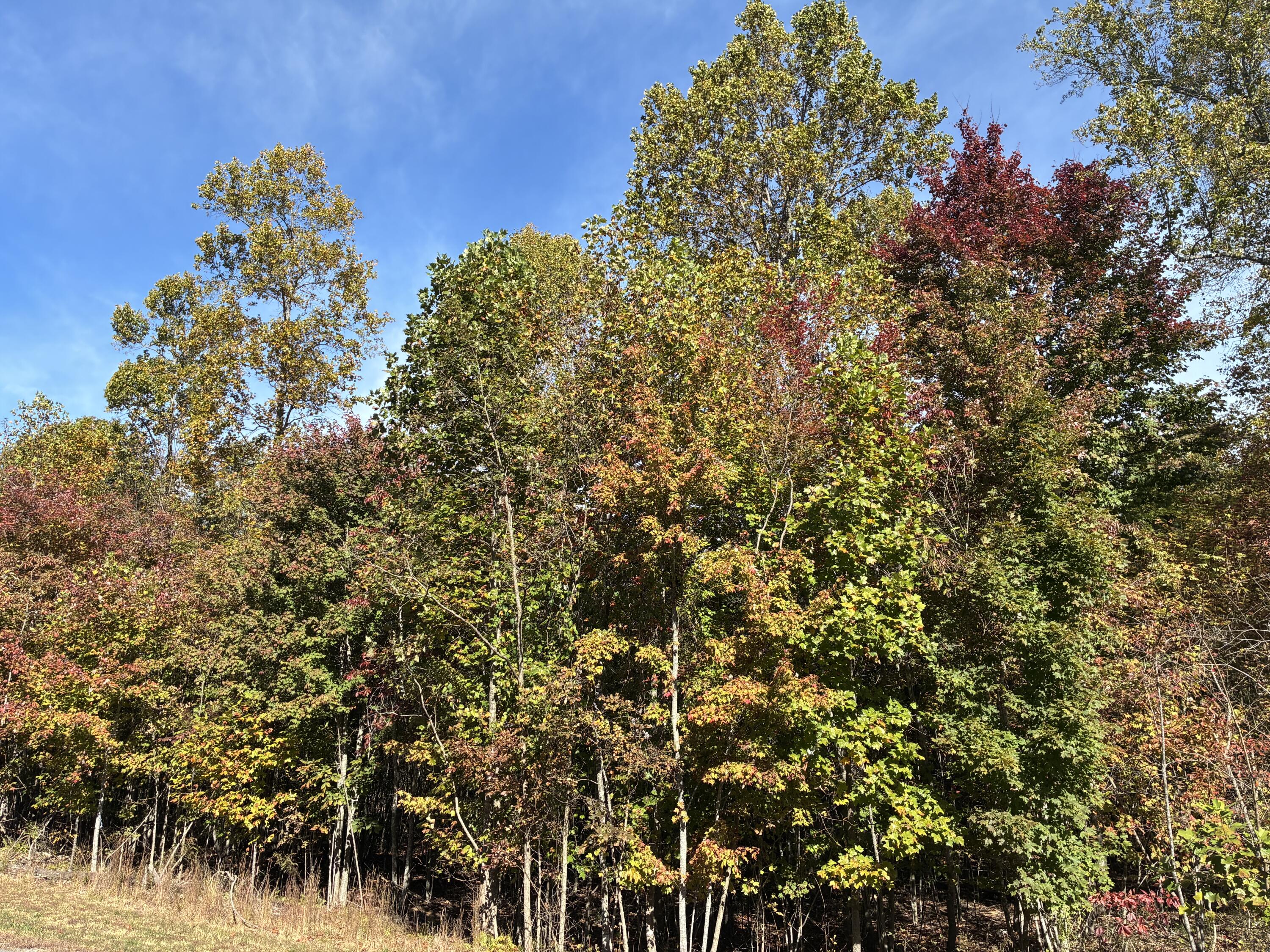 280 Volunteer Street, Jf-370