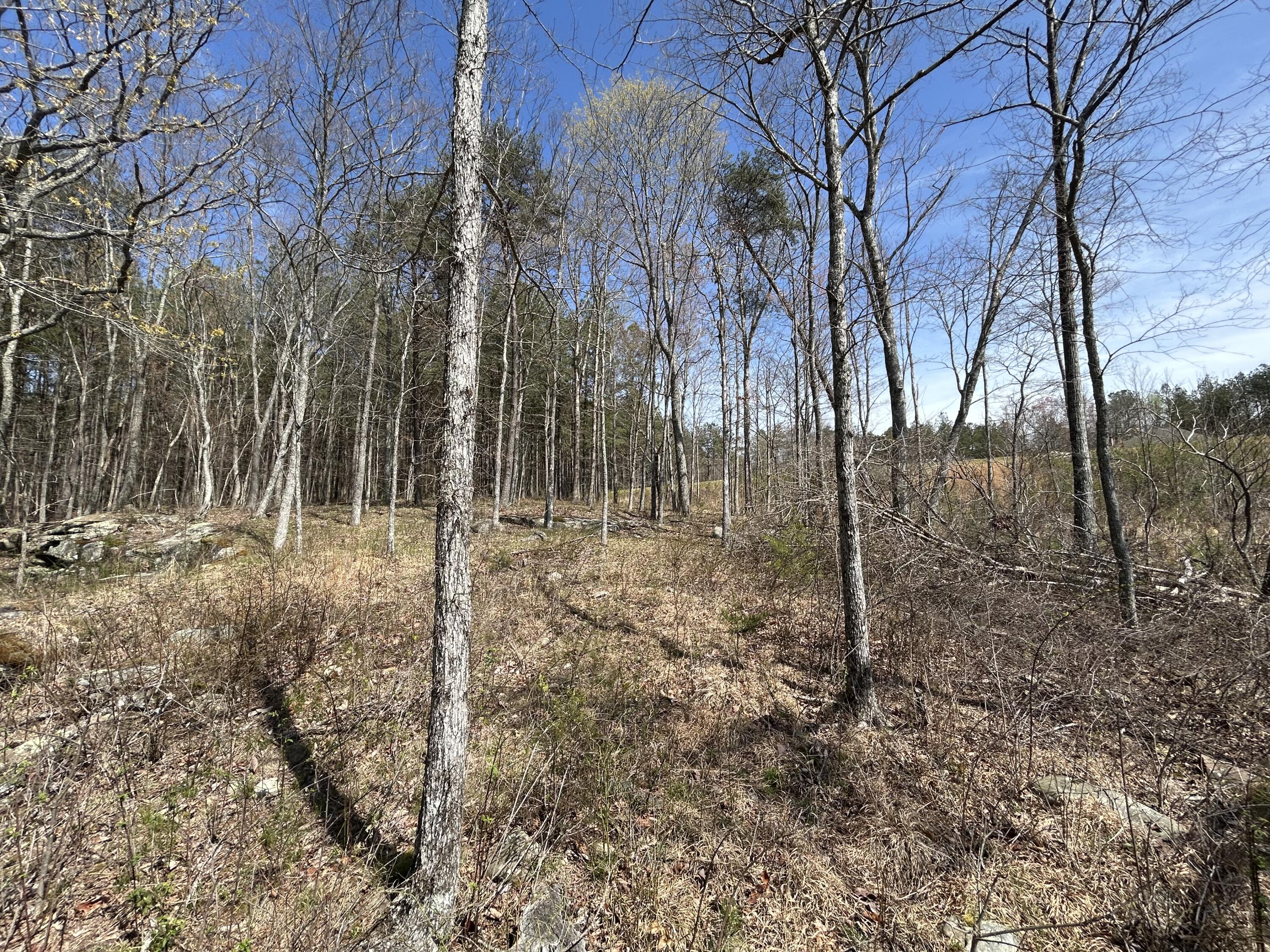 4093 Raulston Falls Road, 27 A-S
