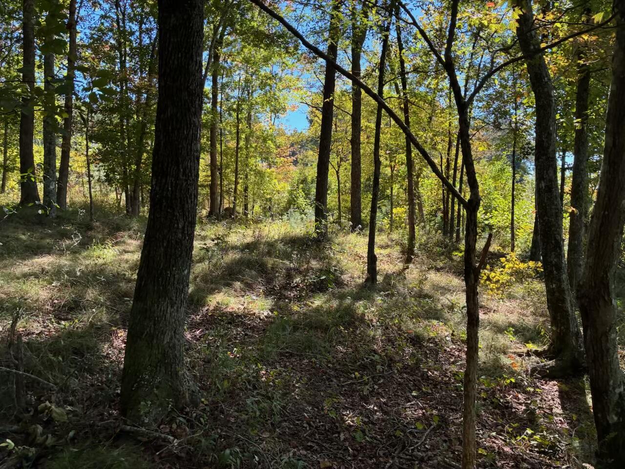 4093 Raulston Falls Road, 27 A-S
