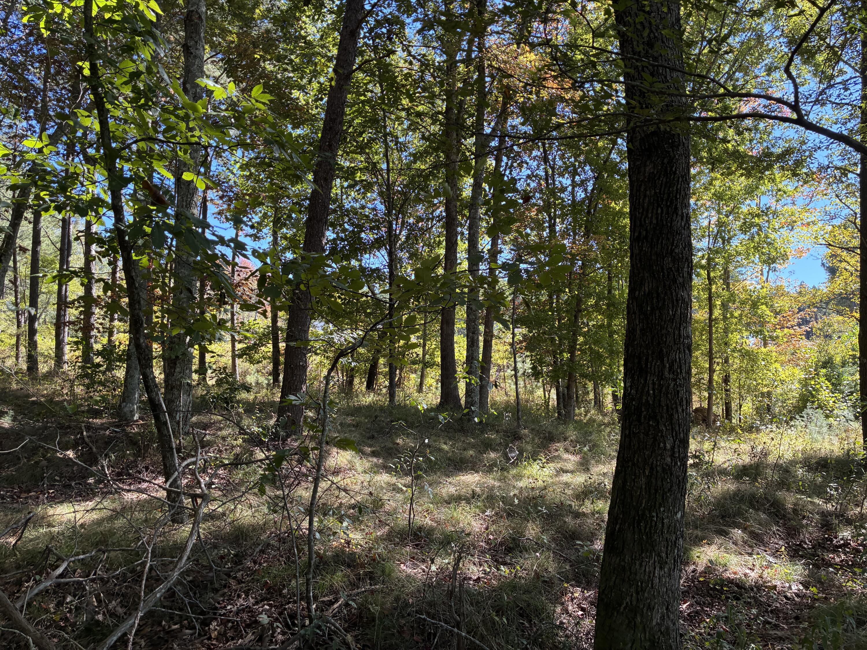 4093 Raulston Falls Road, 27 A-S