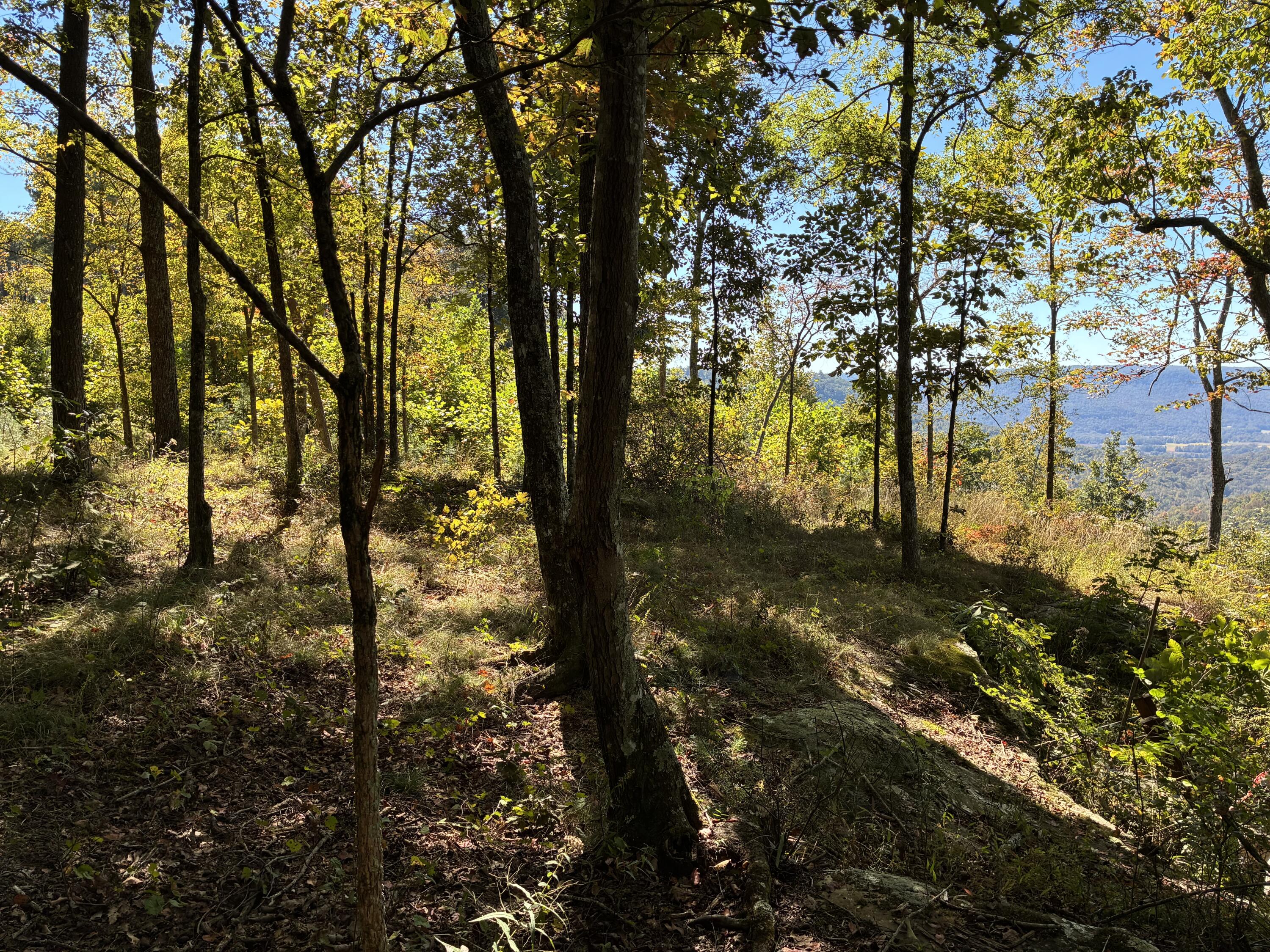 4093 Raulston Falls Road, 27 A-S
