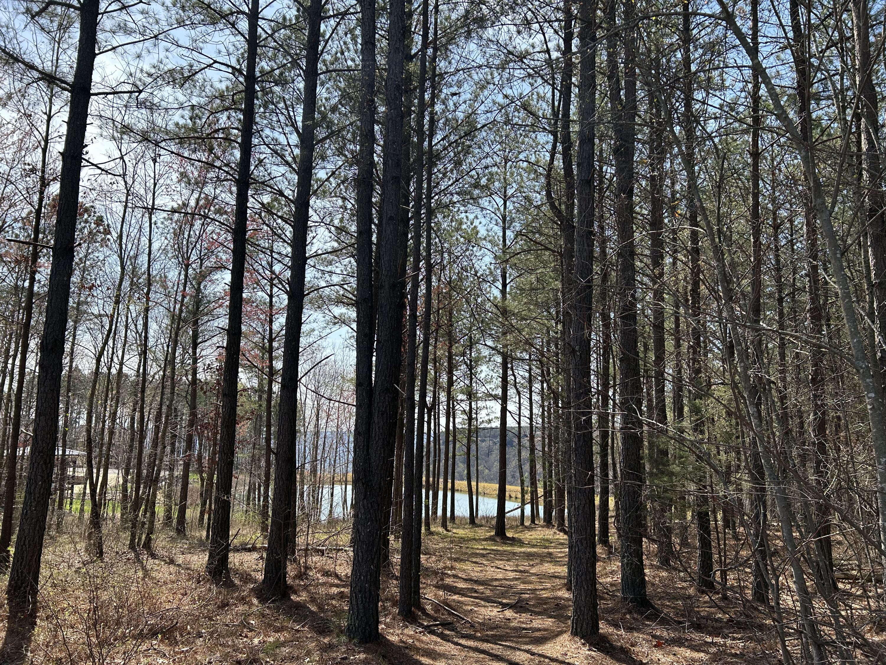 4093 Raulston Falls Road, 27 A-S