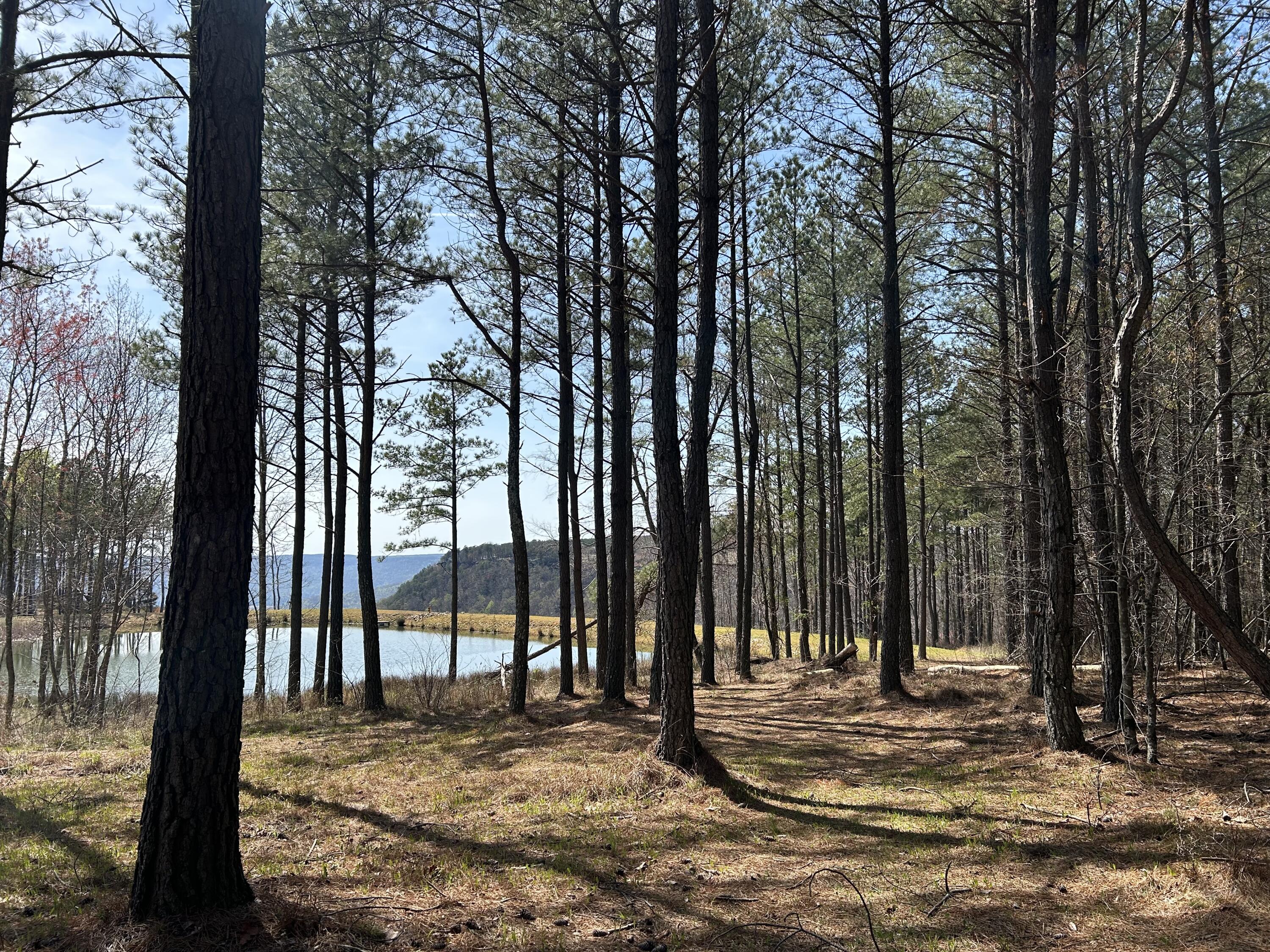 4093 Raulston Falls Road, 27 A-S