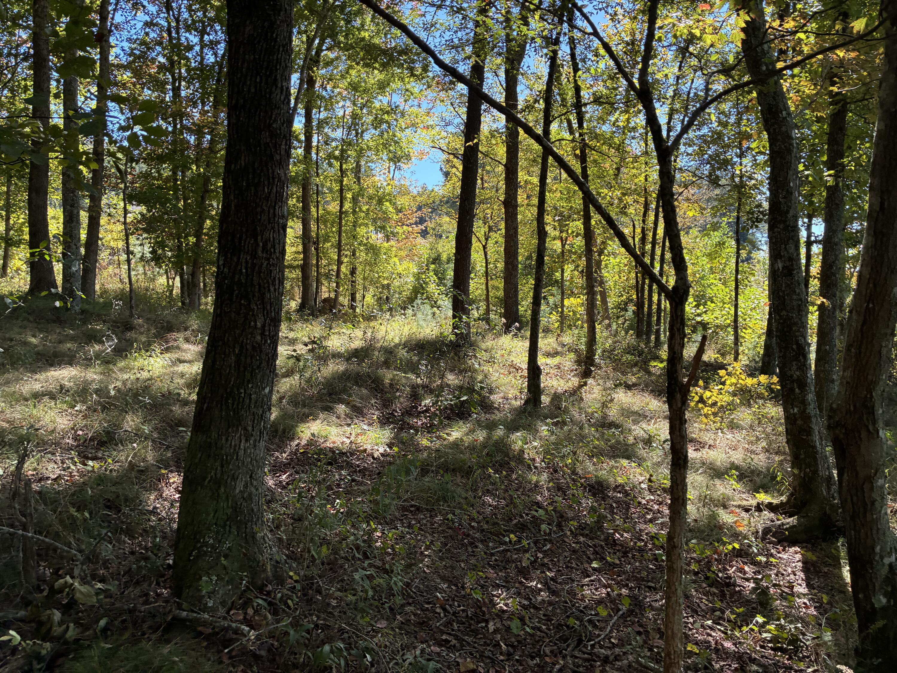 4093 Raulston Falls Road, 27 A-S