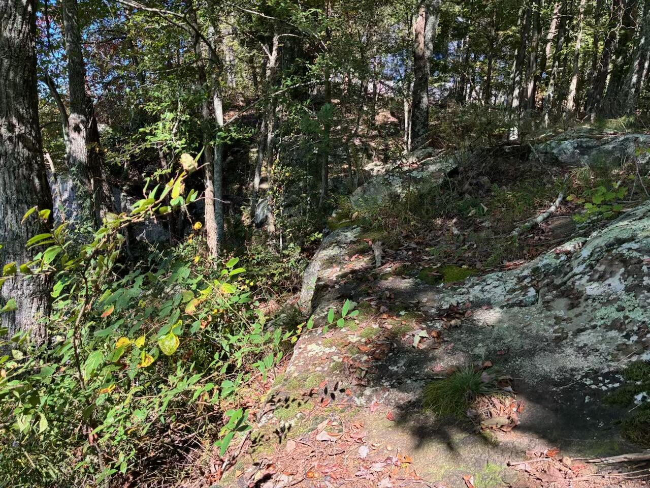 4093 Raulston Falls Road, 27 A-S