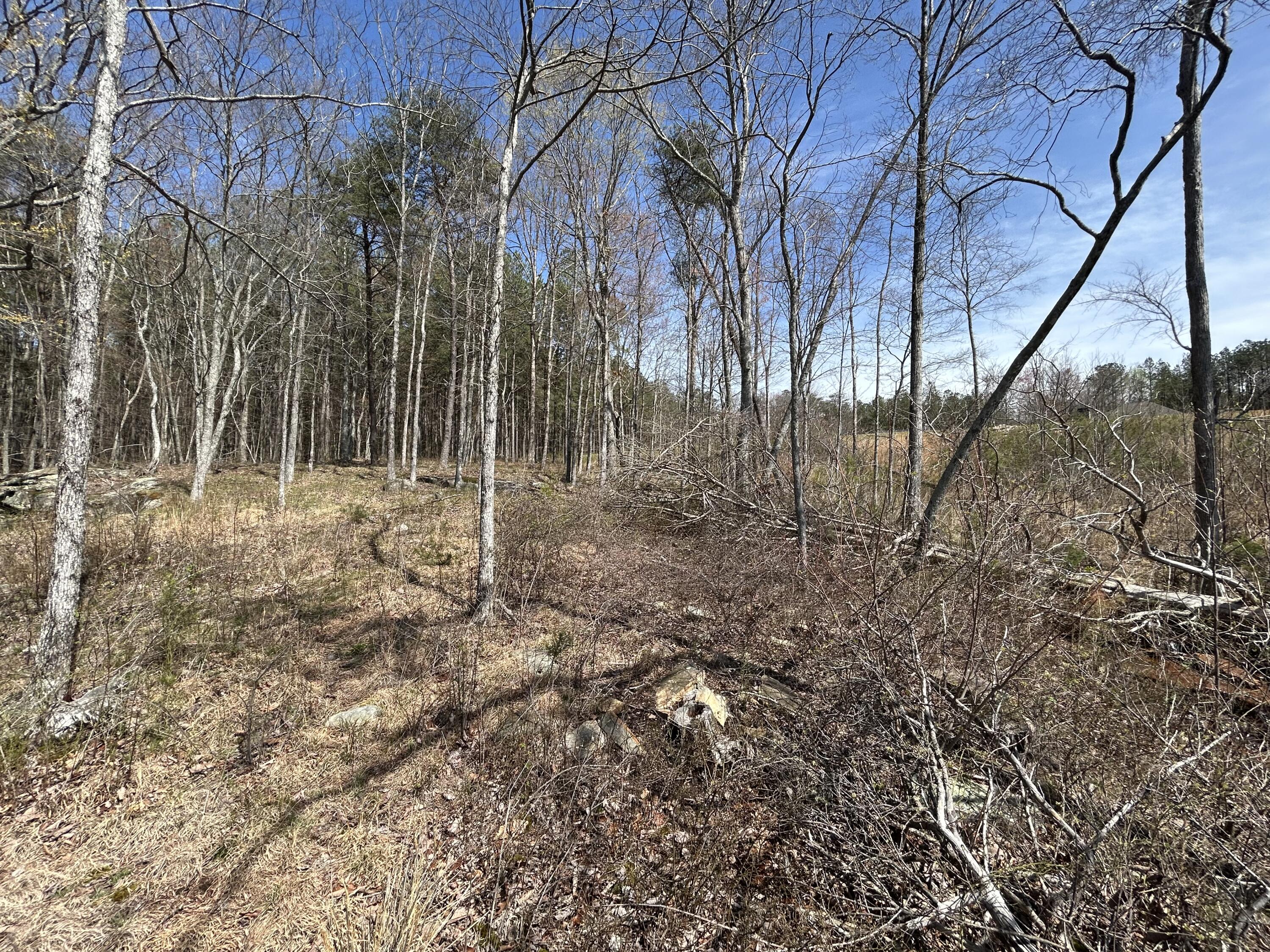 4093 Raulston Falls Road, 27 A-S