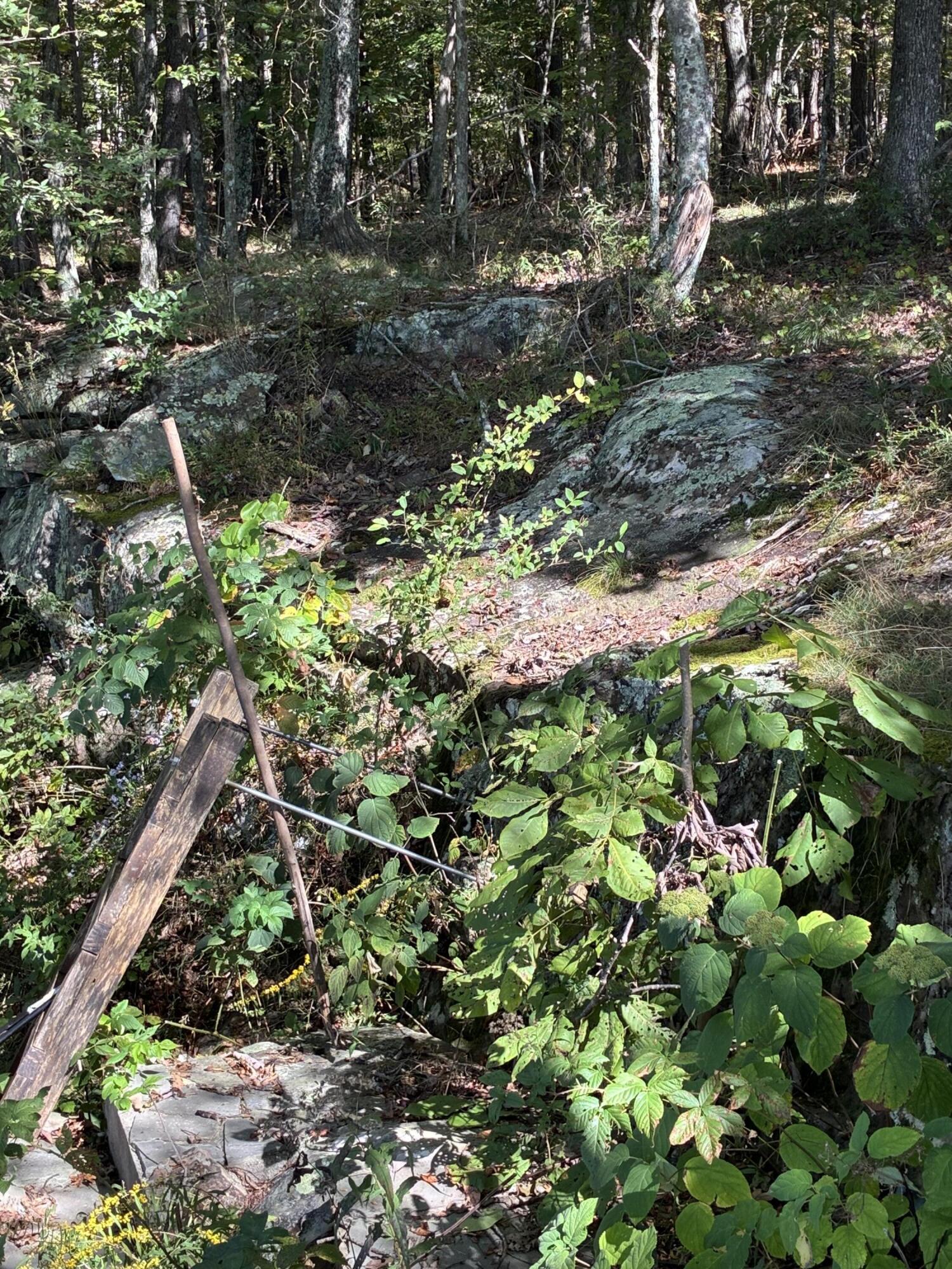 4093 Raulston Falls Road, 27 A-S