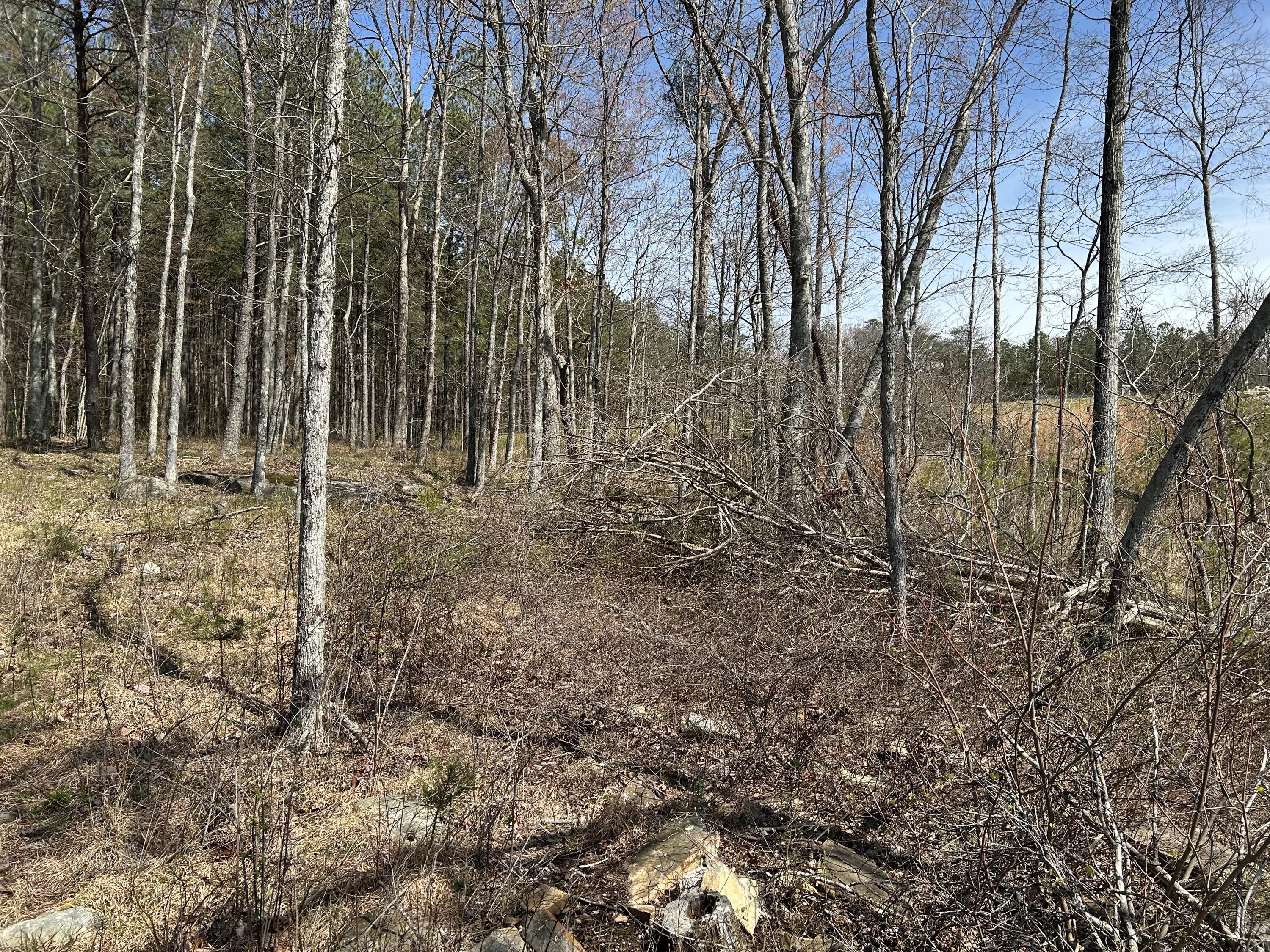 4093 Raulston Falls Road, 27 A-S