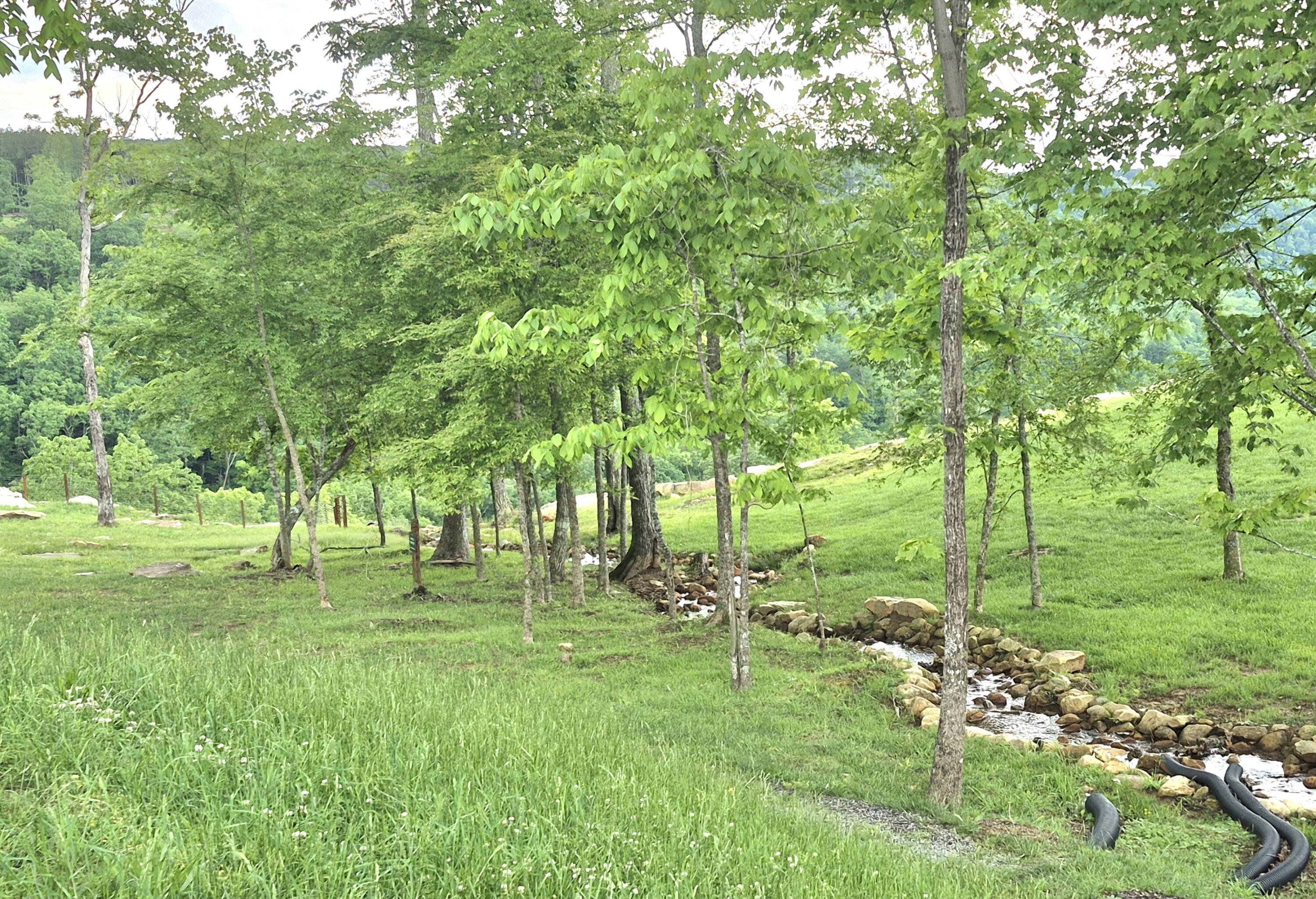 6070 Raulston Falls Road, Lot 97