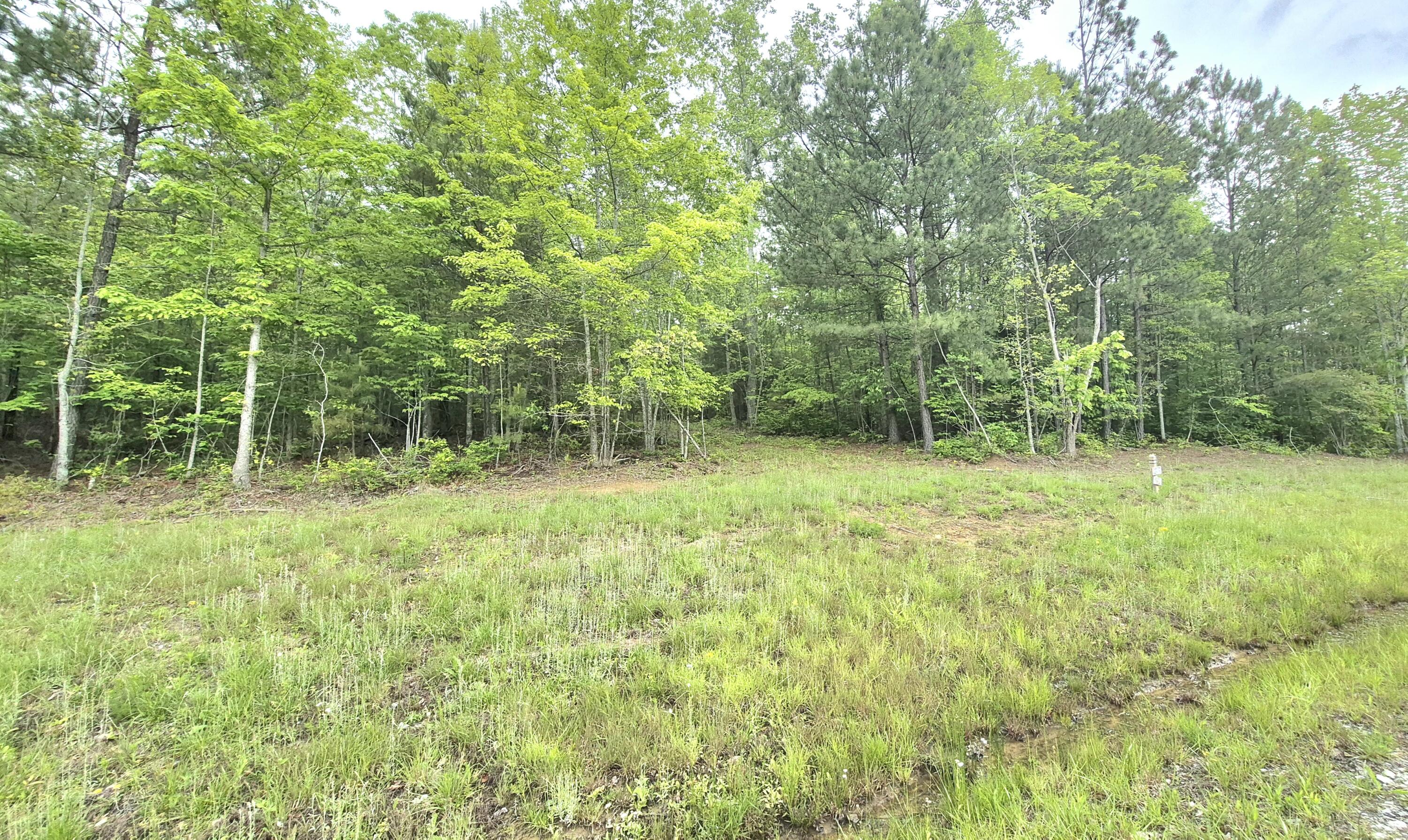 6070 Raulston Falls Road, Lot 97