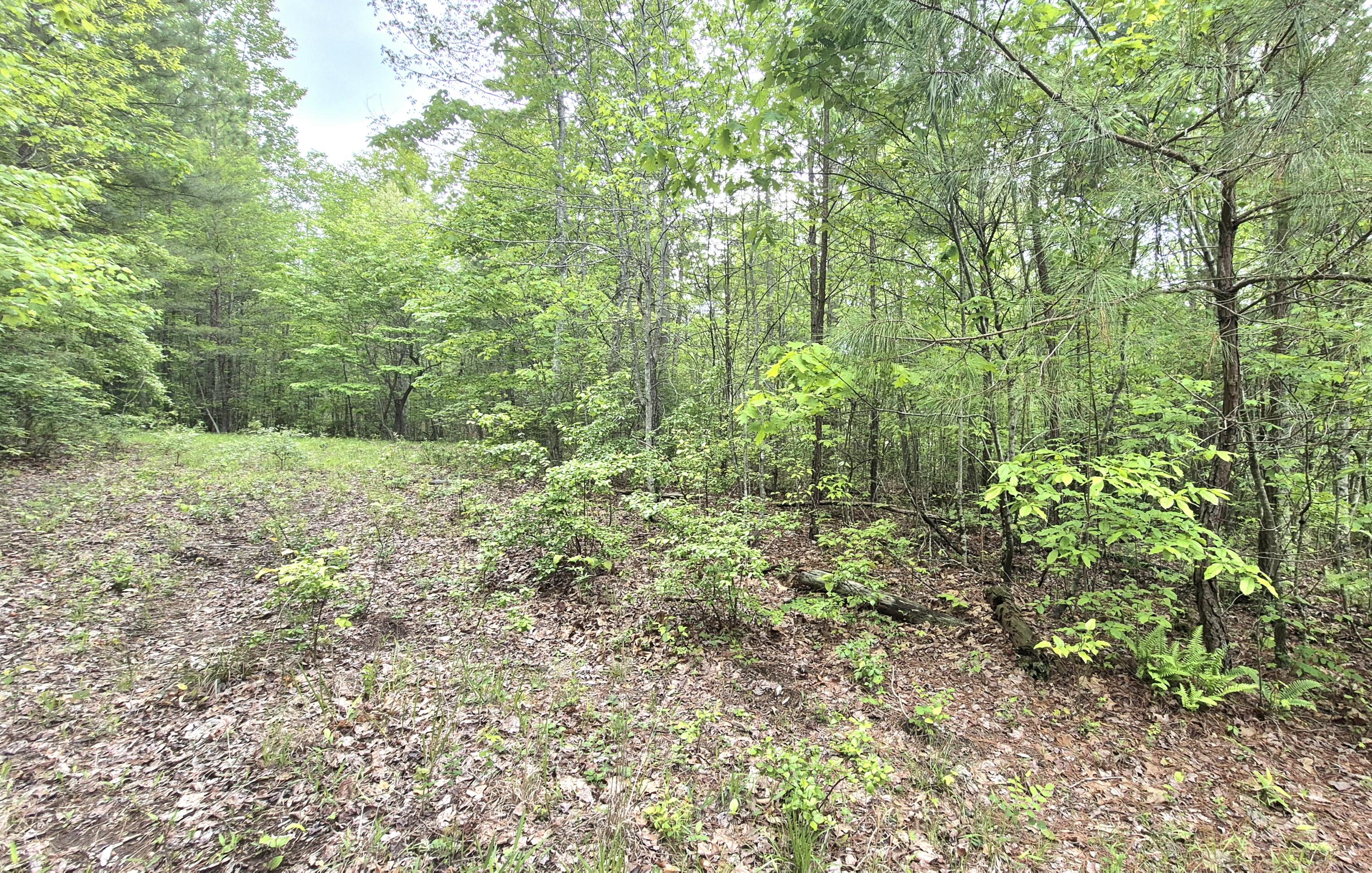 6070 Raulston Falls Road, Lot 97