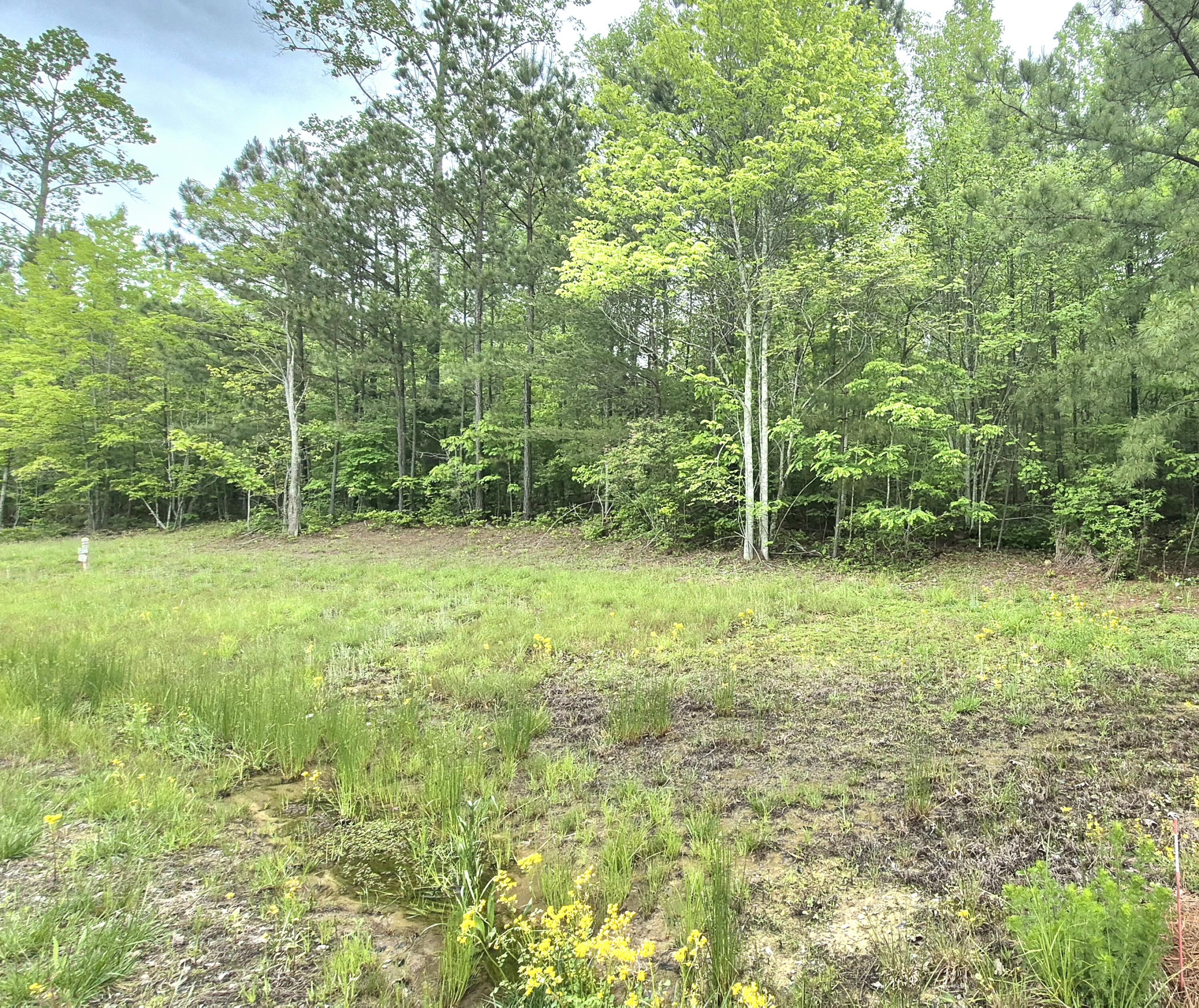 6070 Raulston Falls Road, Lot 97