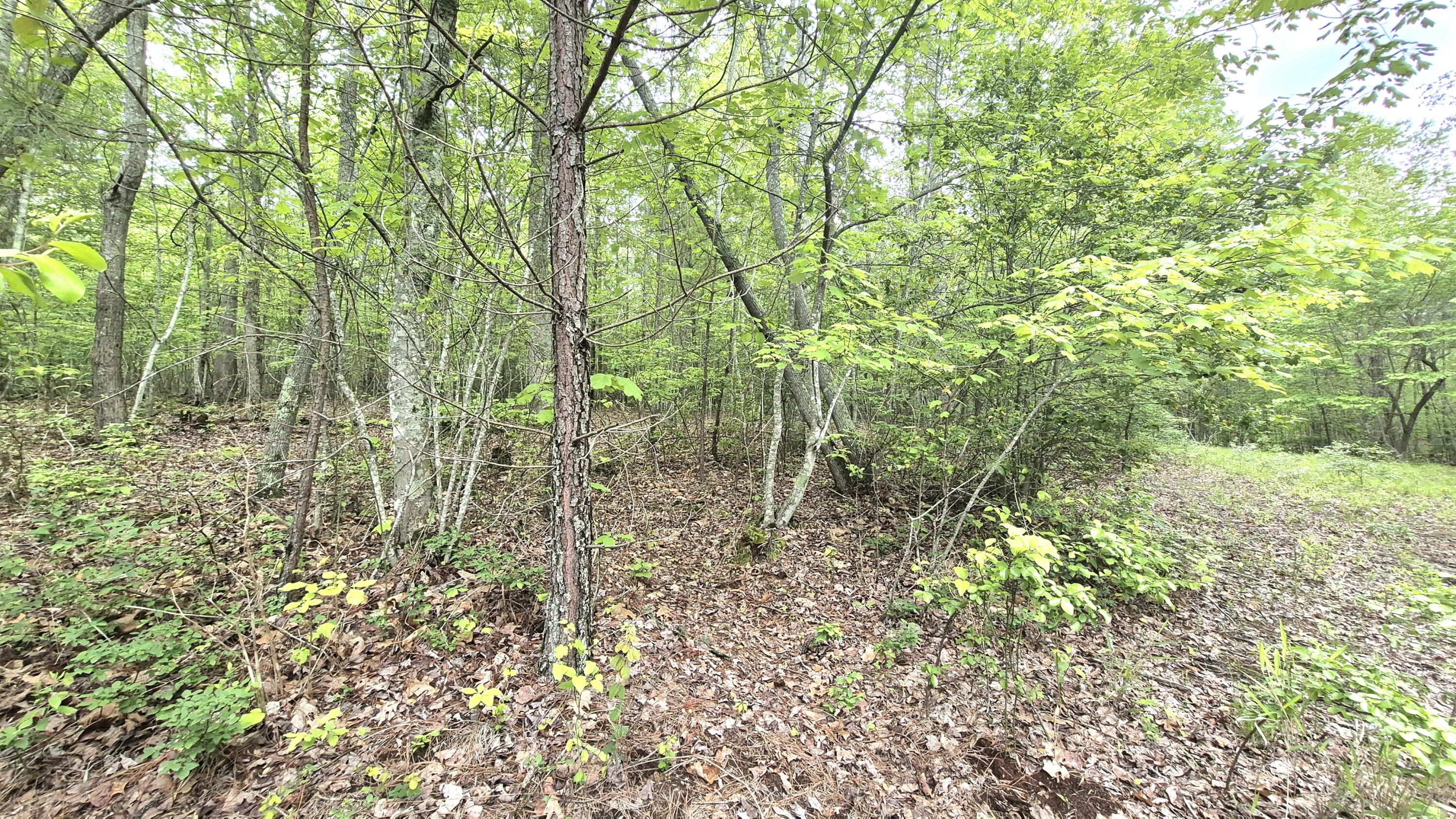 6070 Raulston Falls Road, Lot 97