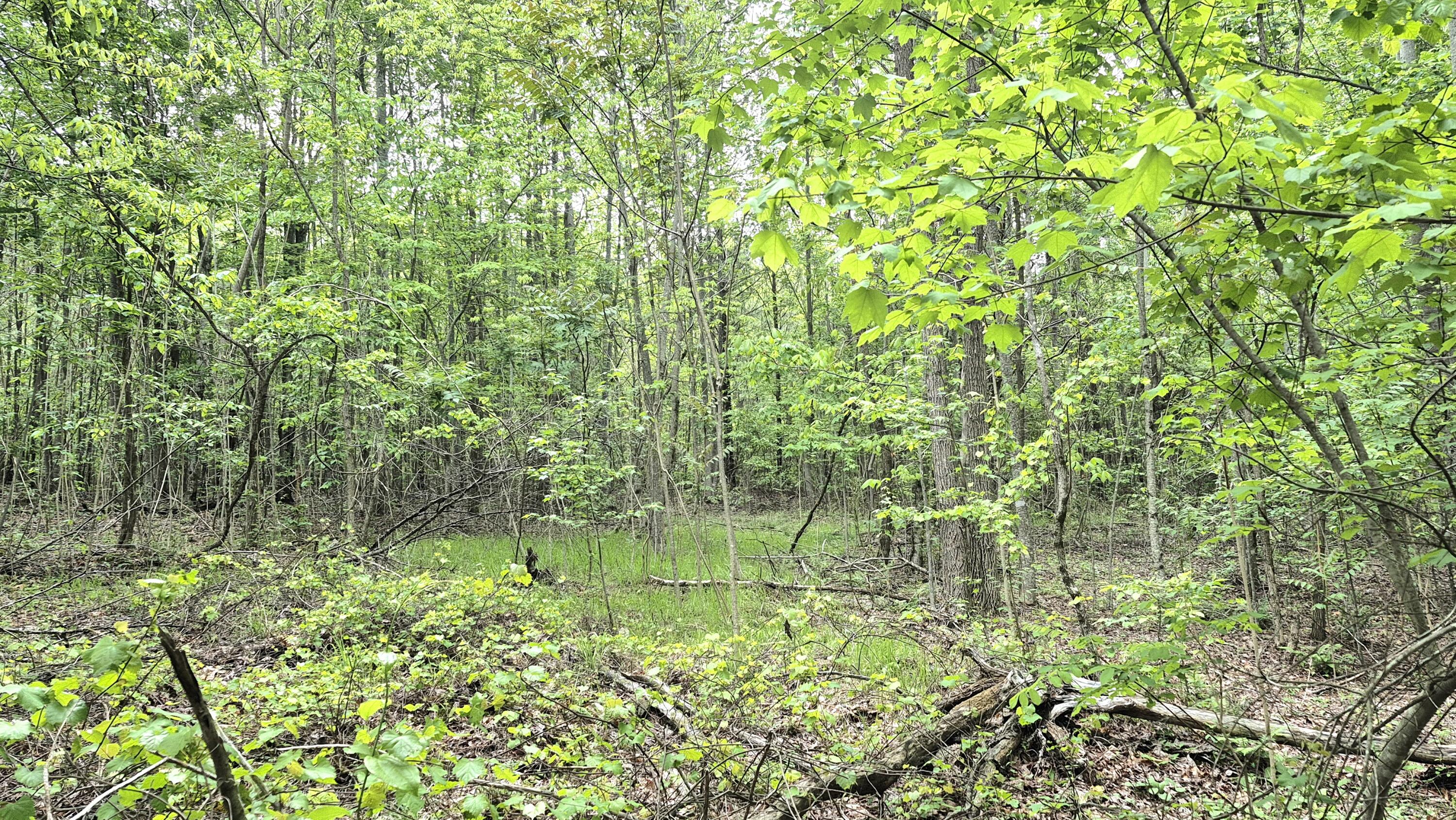 6070 Raulston Falls Road, Lot 97