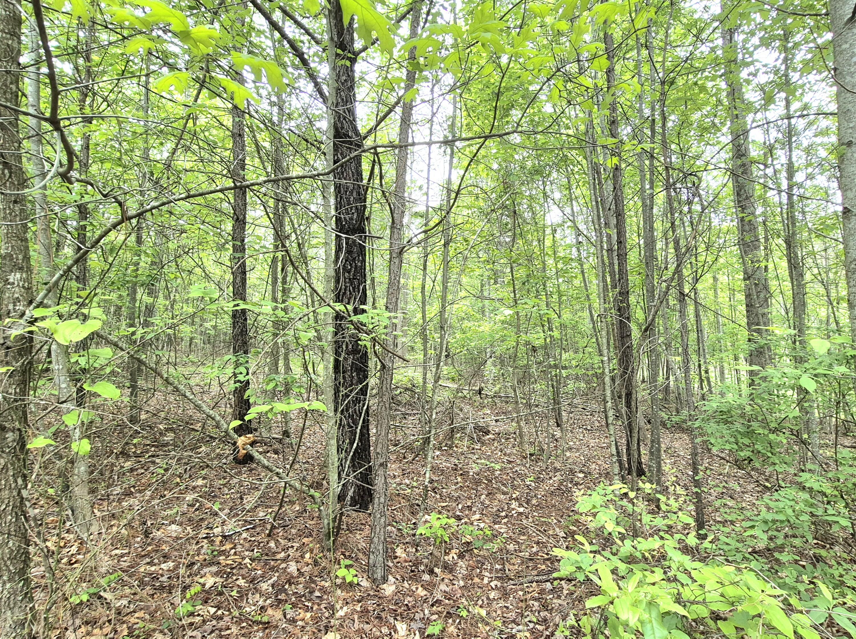 6070 Raulston Falls Road, Lot 97