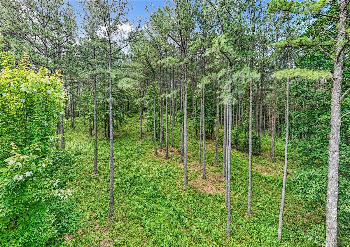 3715 Split Rail Way, 1123