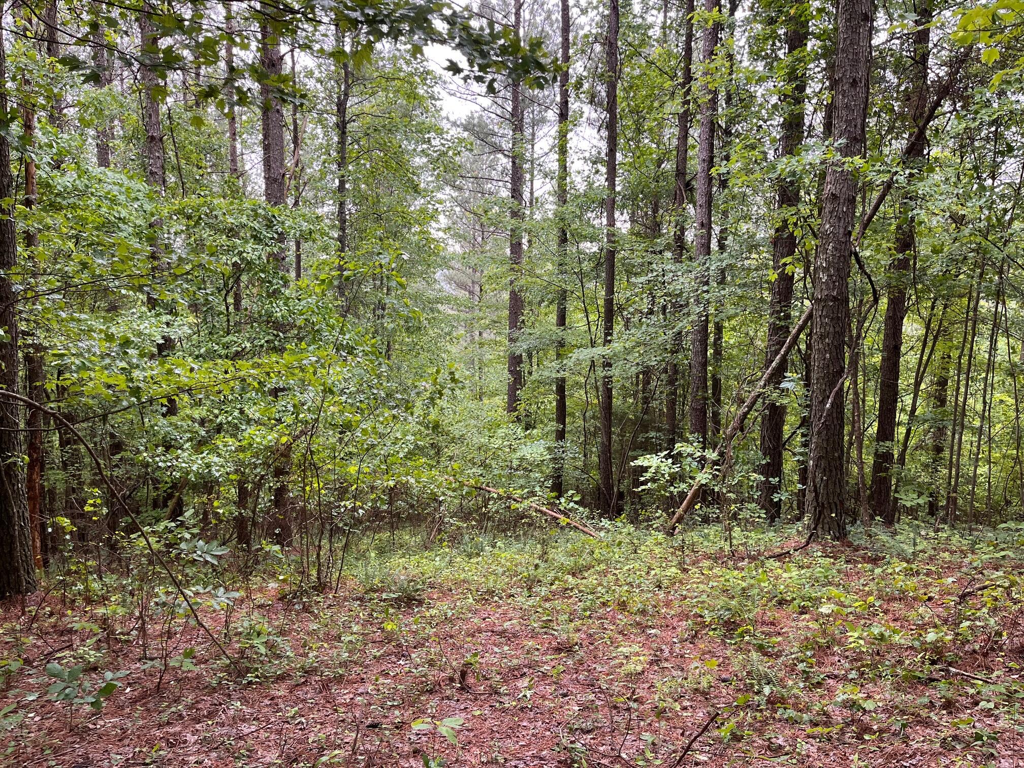 3715 Split Rail Way, 1123