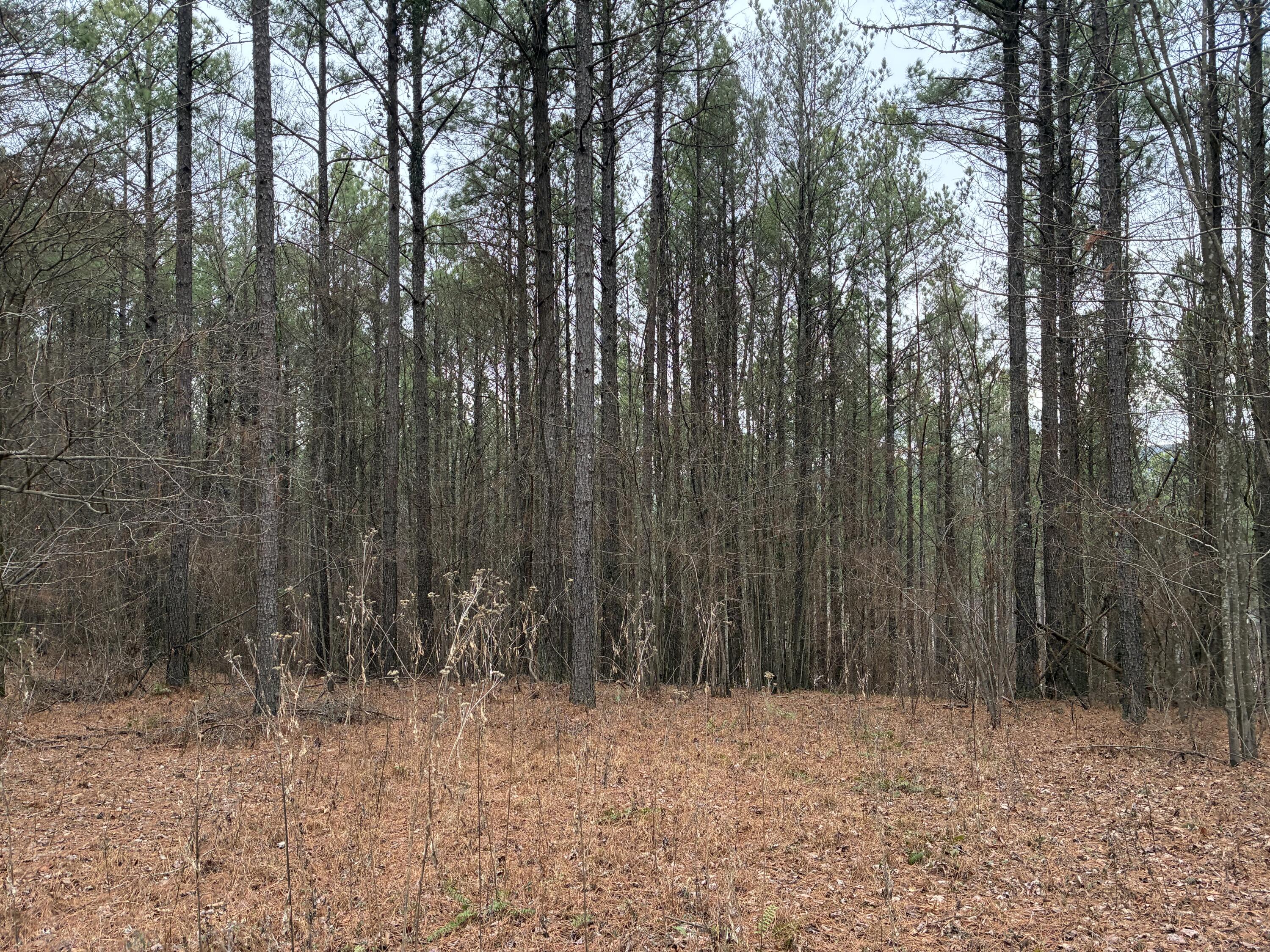 3715 Split Rail Way, 1123