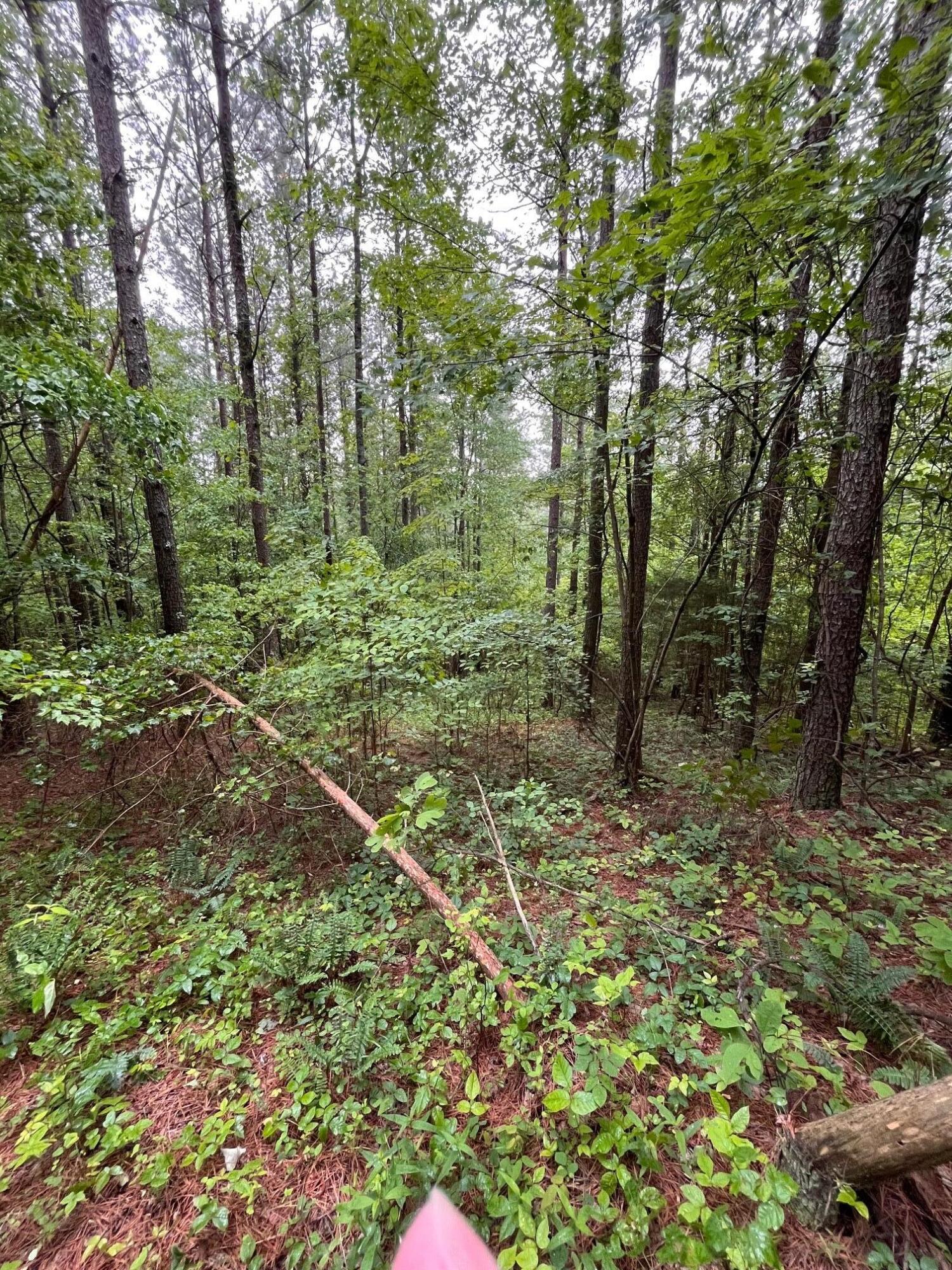 3715 Split Rail Way, 1123