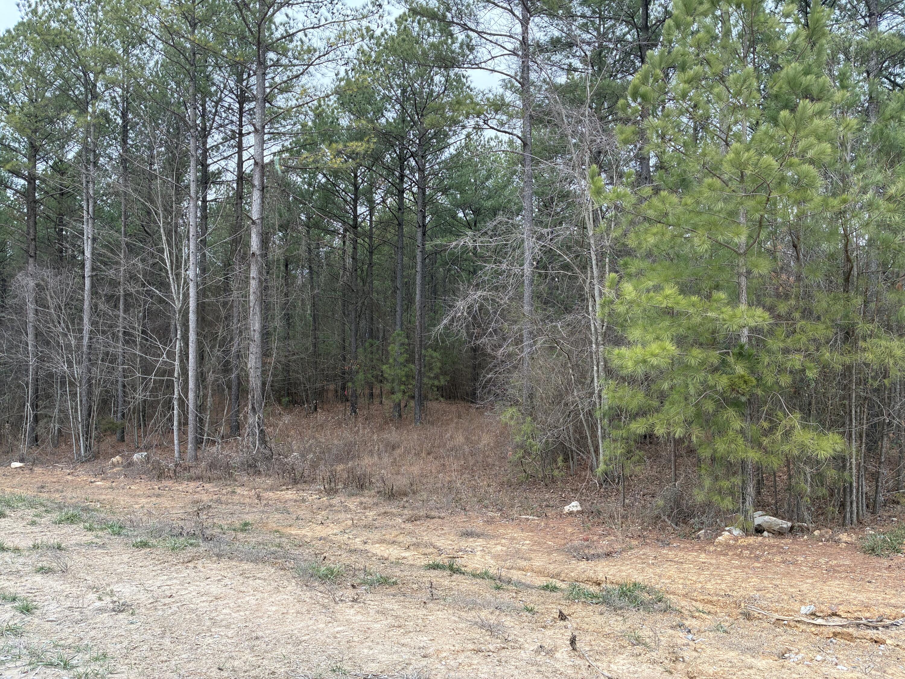 3715 Split Rail Way, 1123