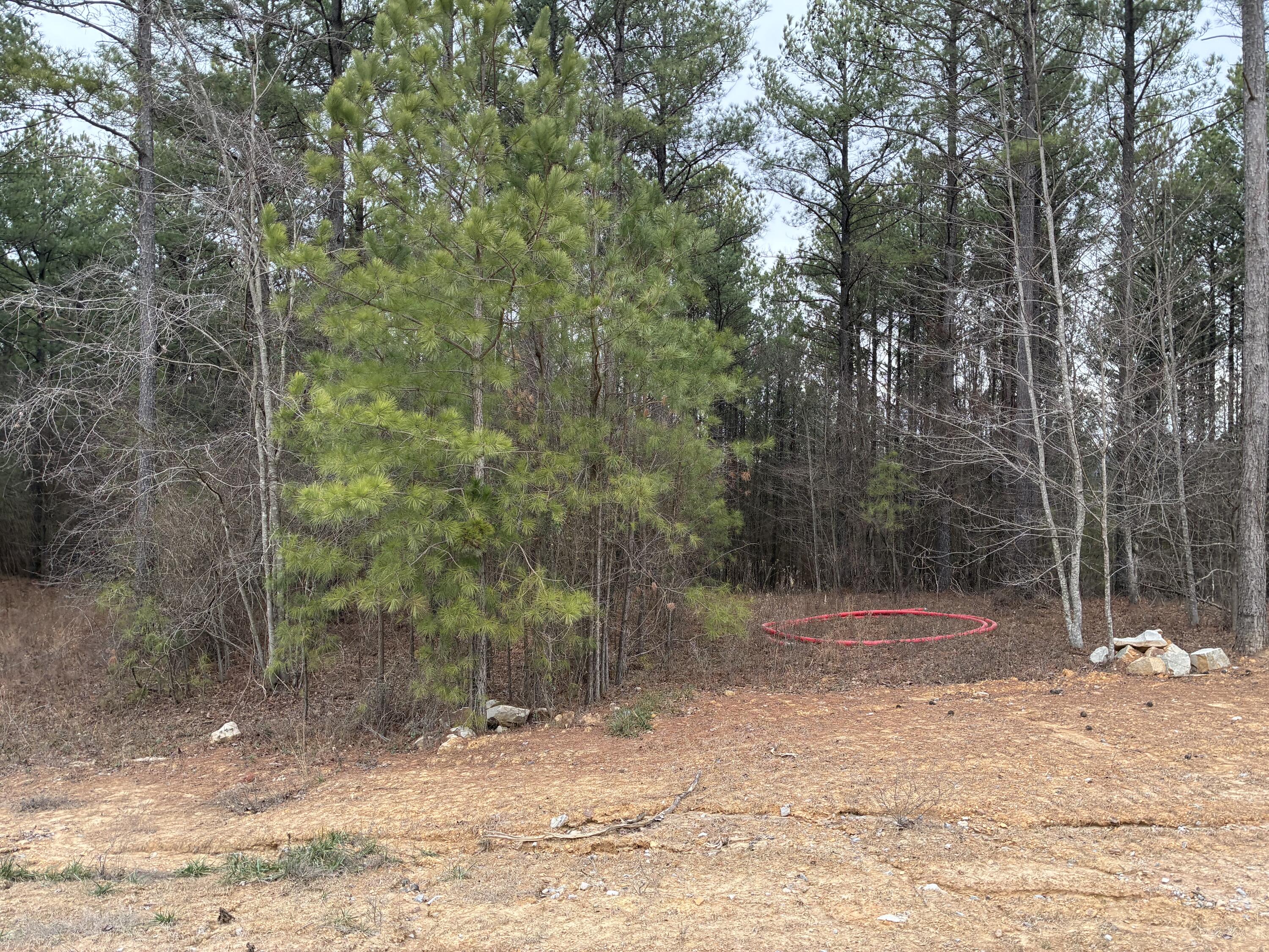3715 Split Rail Way, 1123