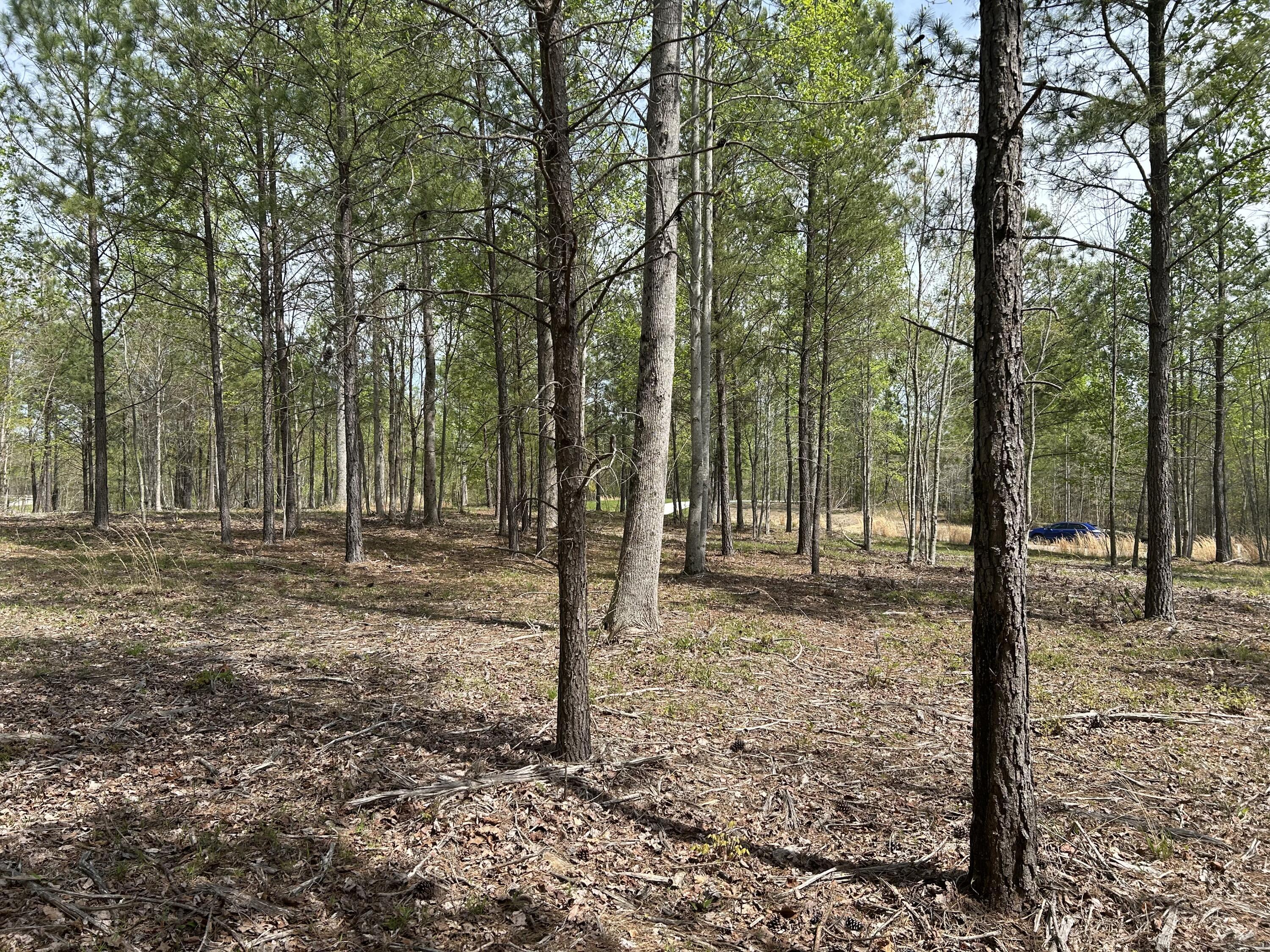 6390 Raulston Falls Road, Jf-094
