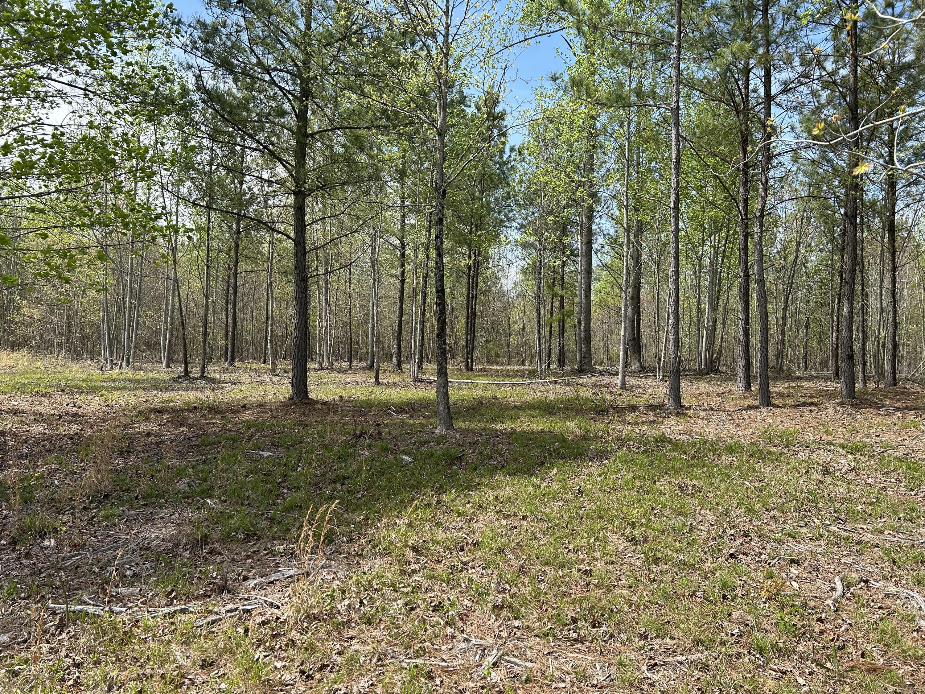 6390 Raulston Falls Road, Jf-094