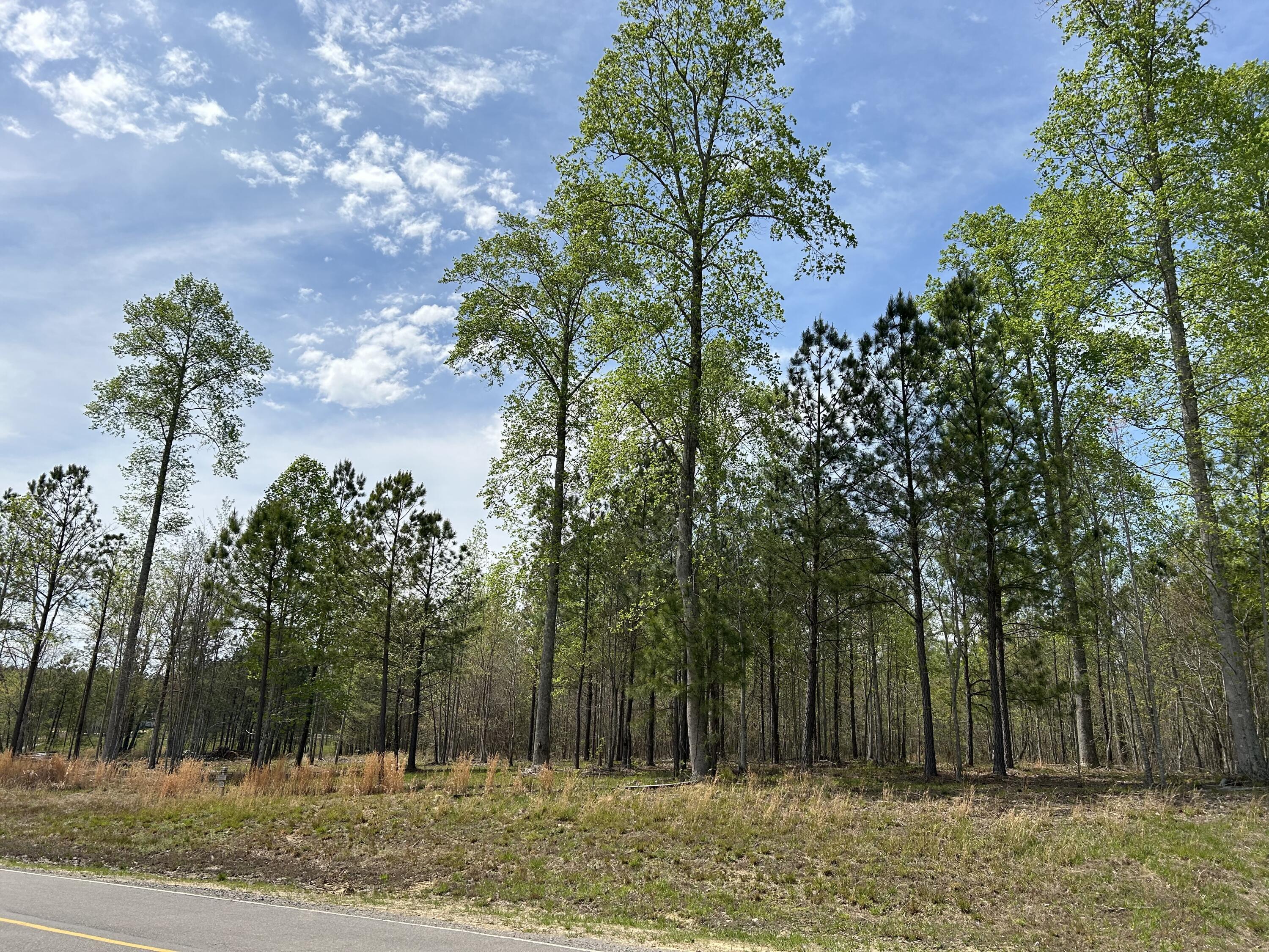 6390 Raulston Falls Road, Jf-094