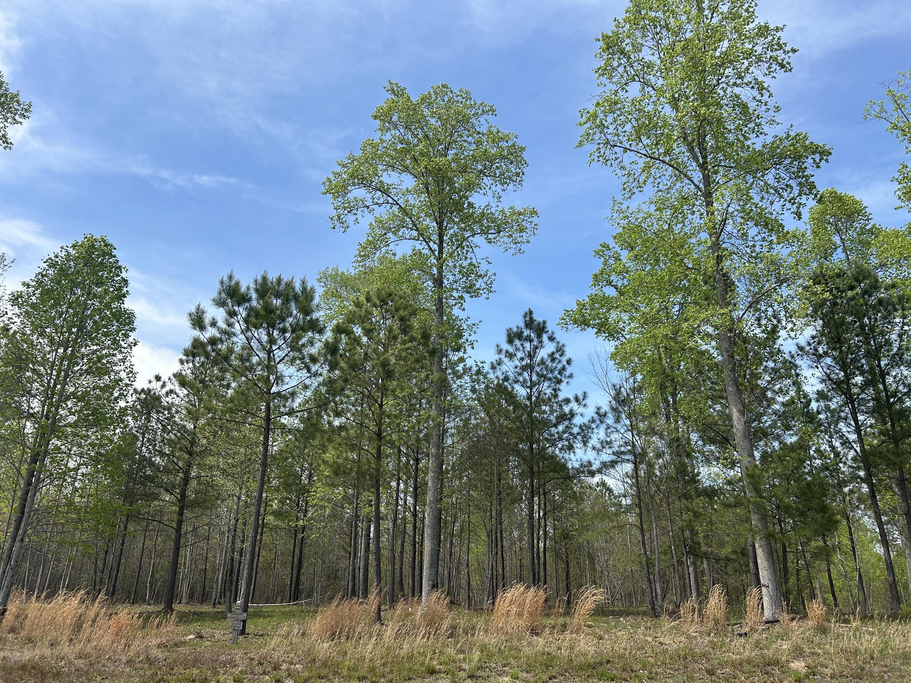 6390 Raulston Falls Road, Jf-094