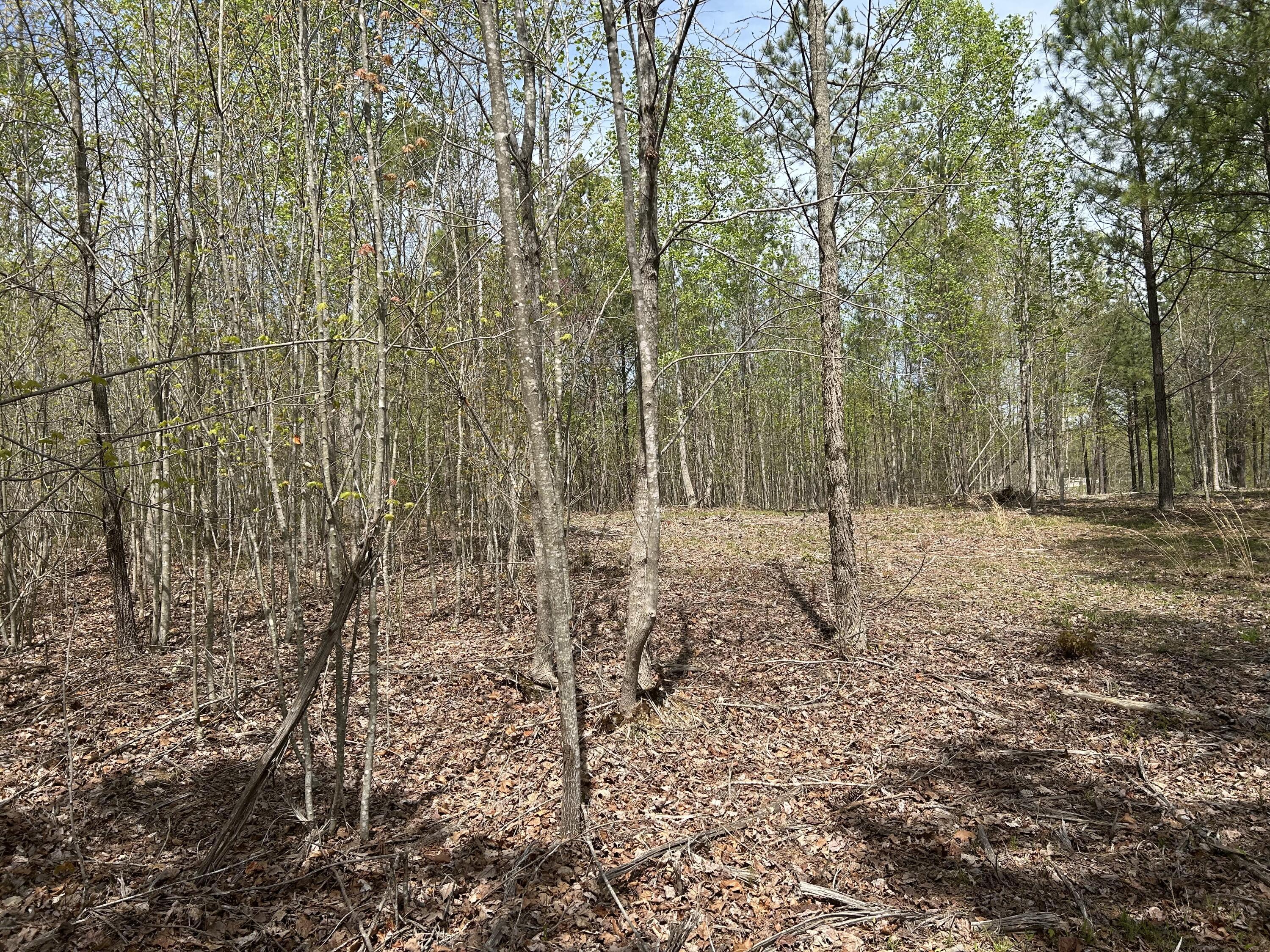 6390 Raulston Falls Road, Jf-094