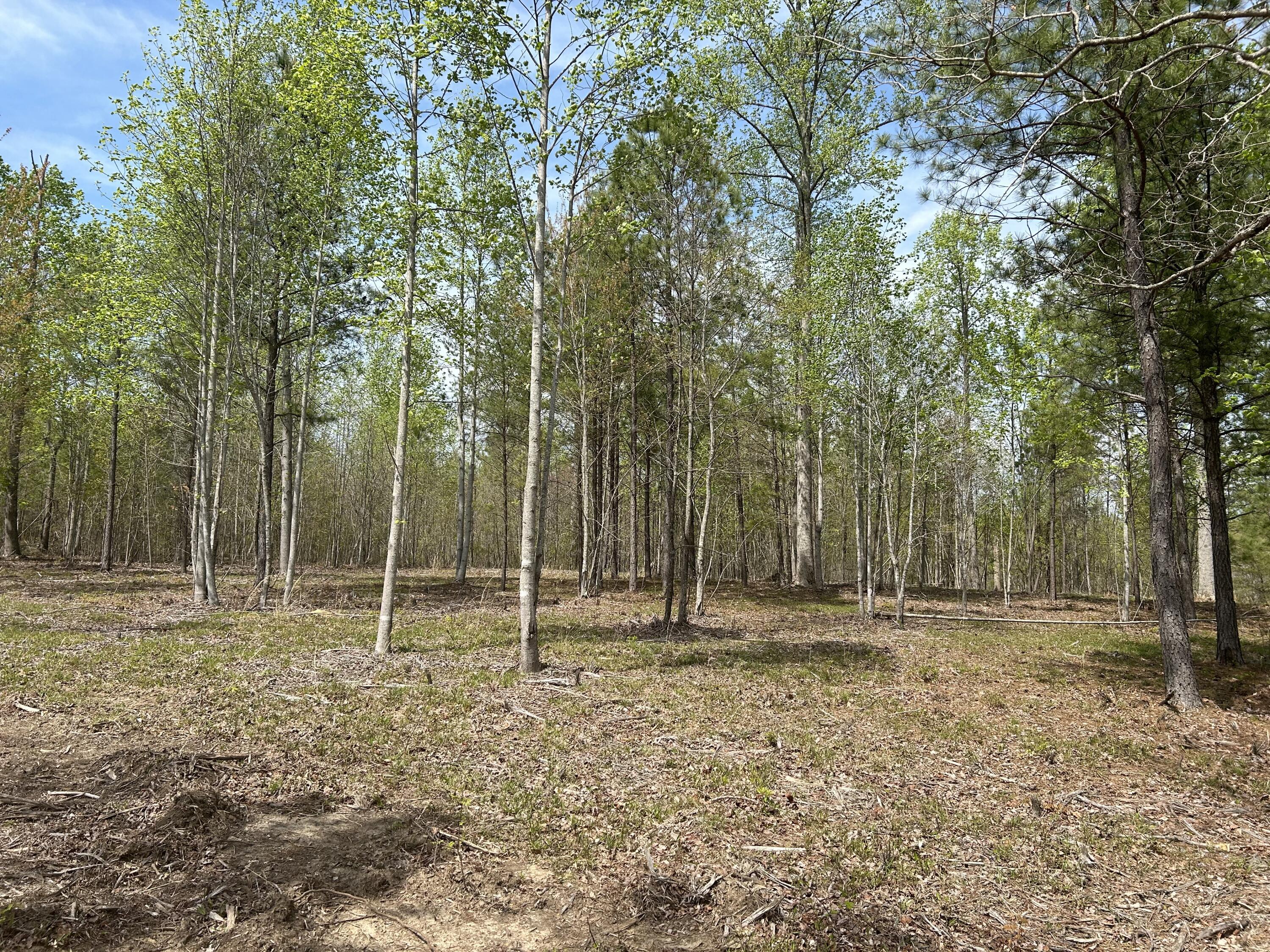 6390 Raulston Falls Road, Jf-094